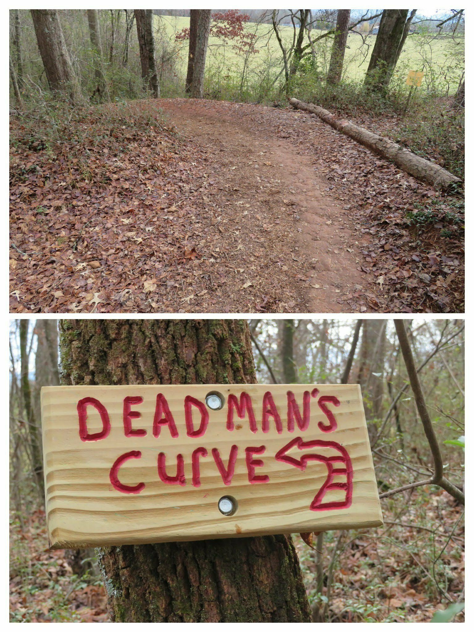 We almost lost one of our hikers on this treacherous curve.