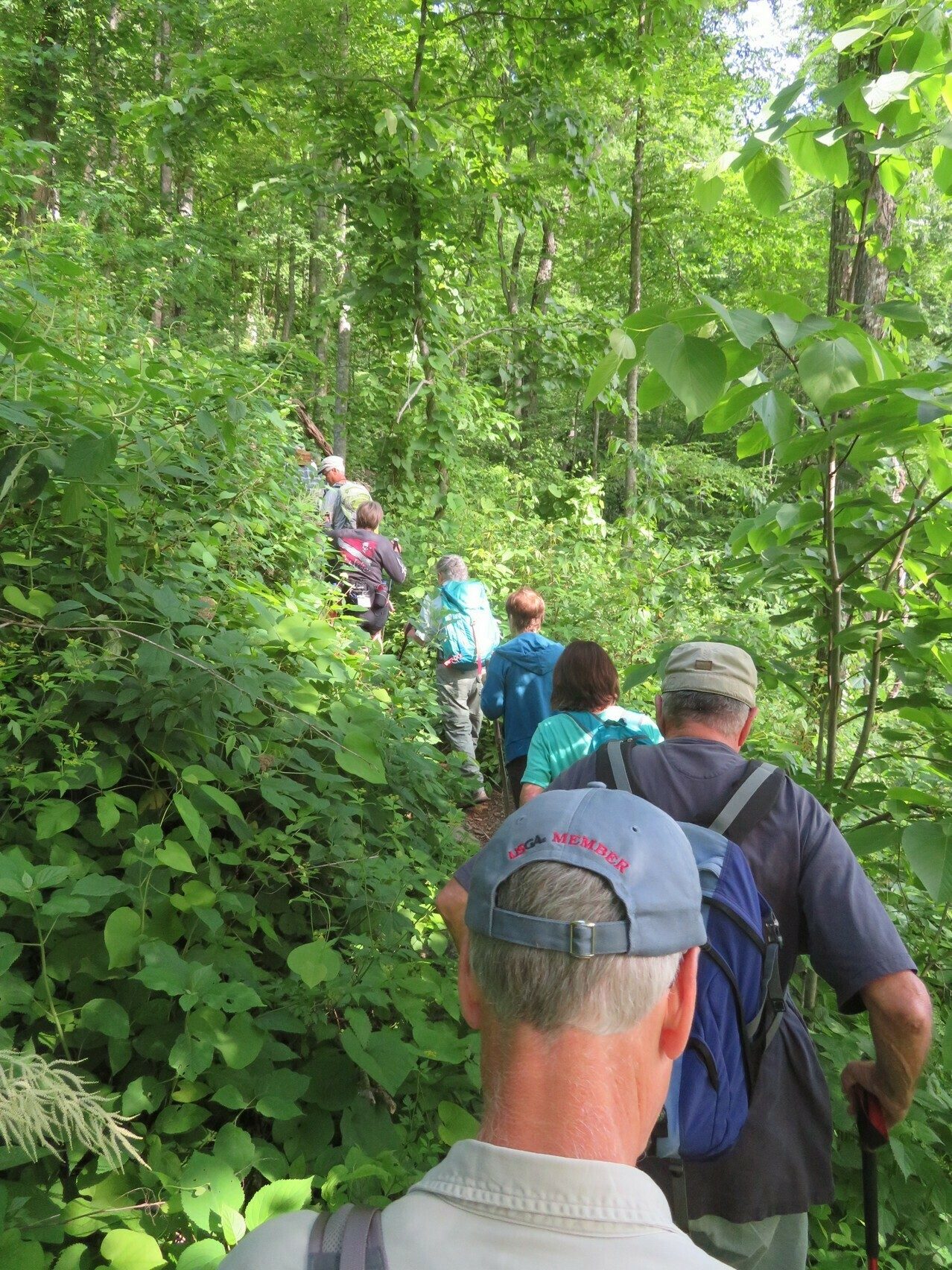 A bit overgrown on this section of the trail