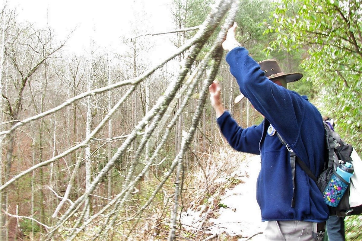 Mike clearing some brush from the trail.