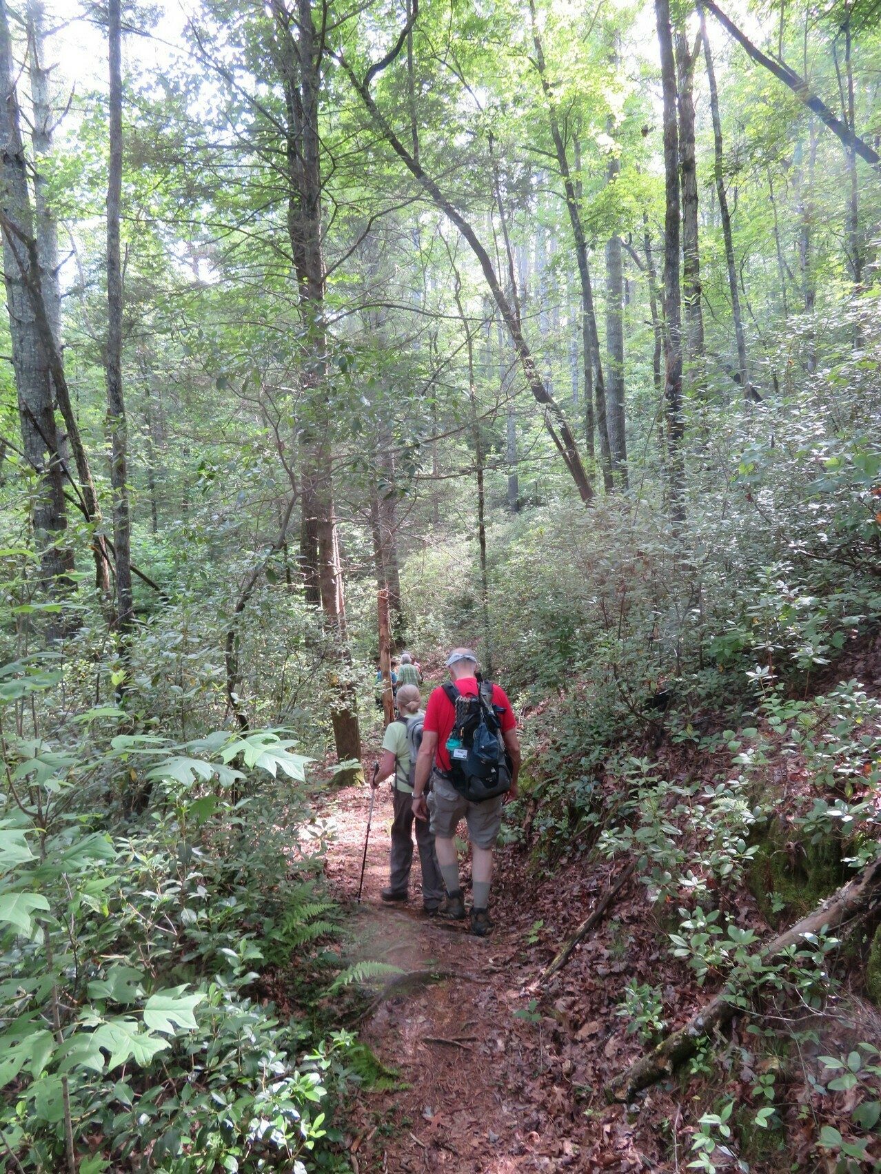 Typical trail conditions