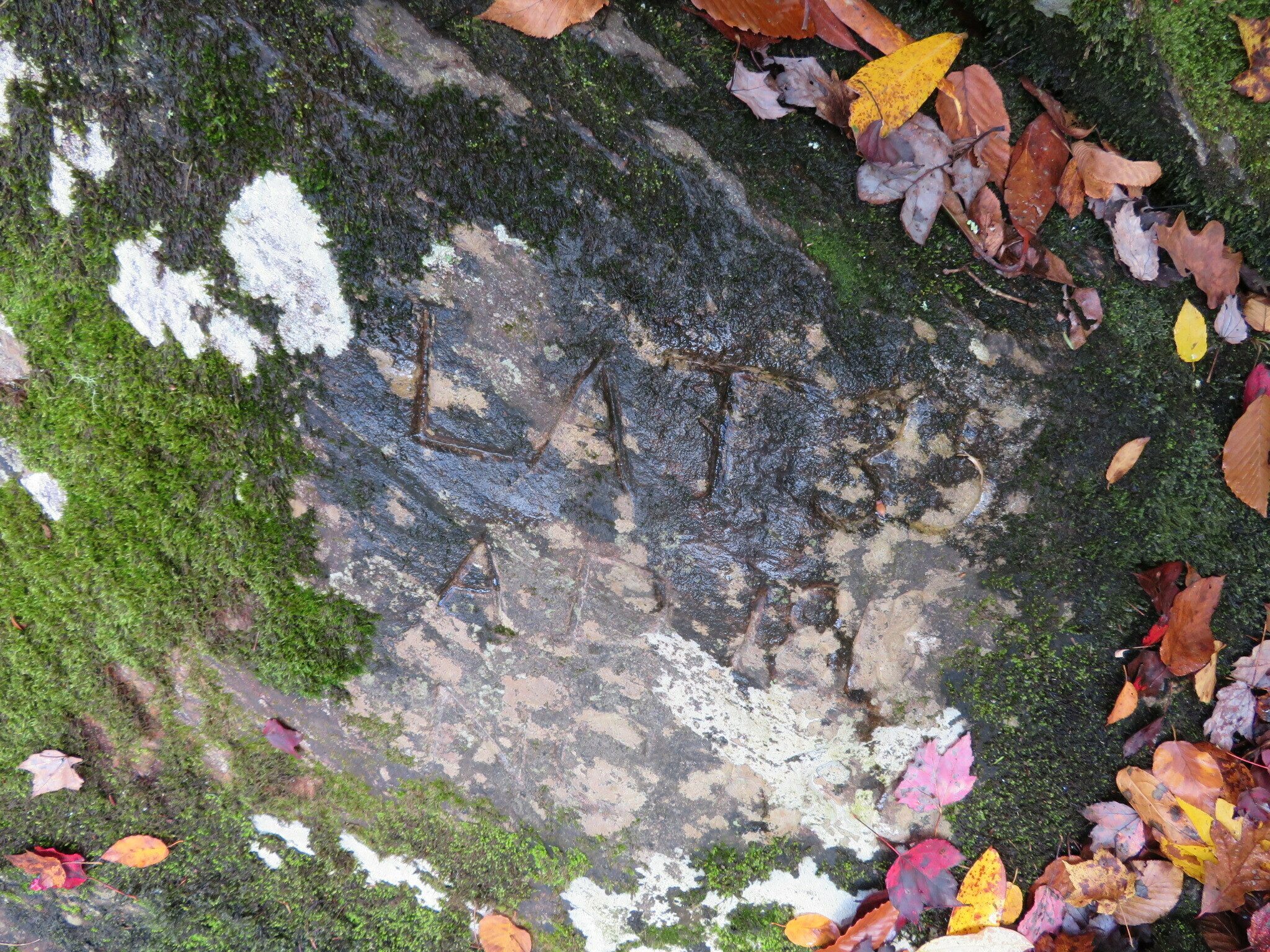 But then we made it and after a bit of rock scrambling, found Commissioner's Rock.