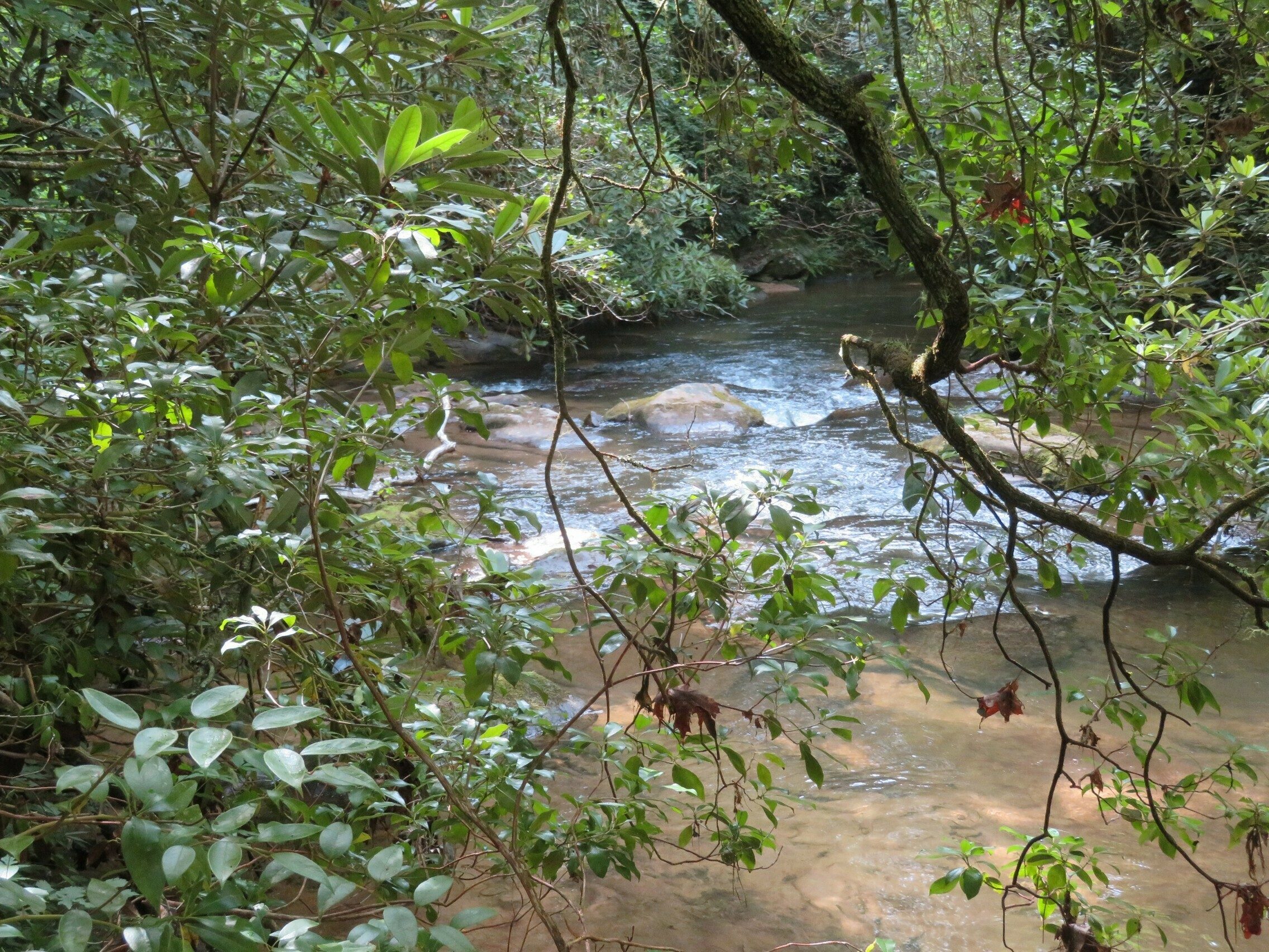 A view of Stonewall Creek midway through the hike.