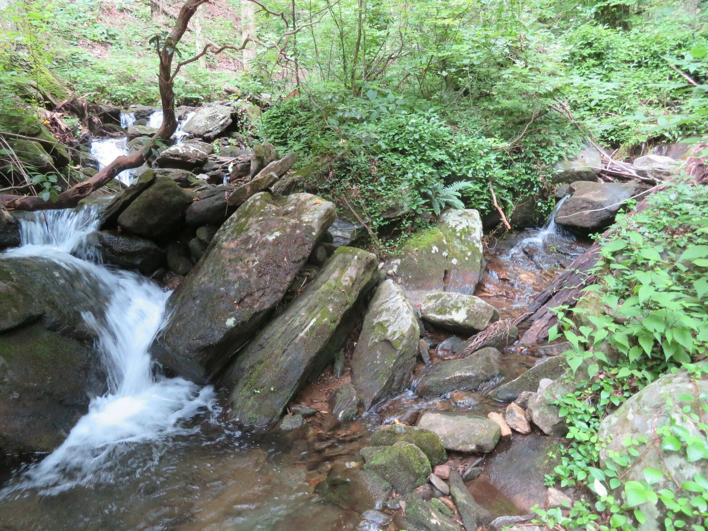 Cascades downstream of Twin Falls along Dockery Lake Trail.