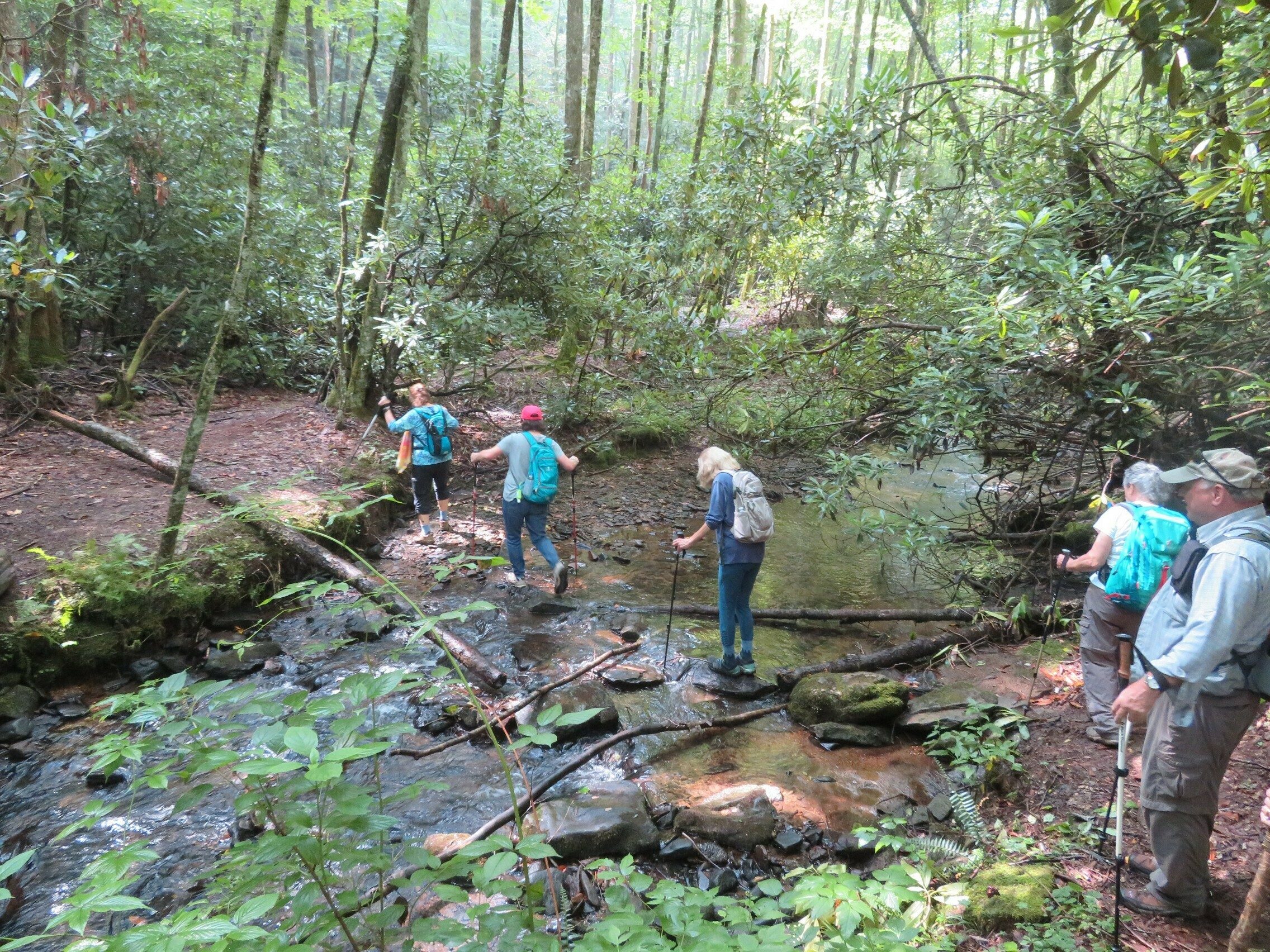 There were a number of small creek crossings along the way.  This one the largest. . . . a few bridges.