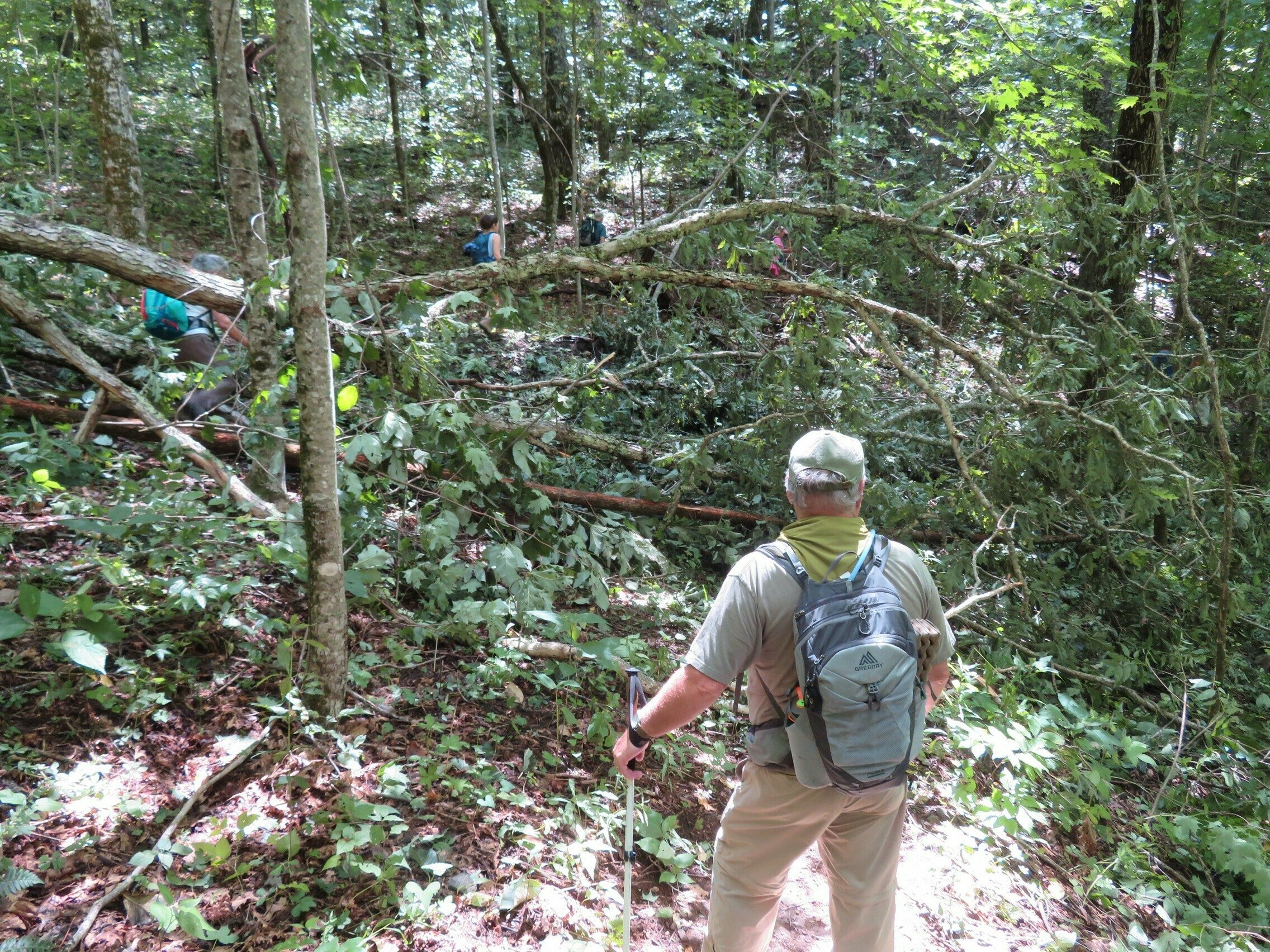 John checking out a blowdown along the AT.