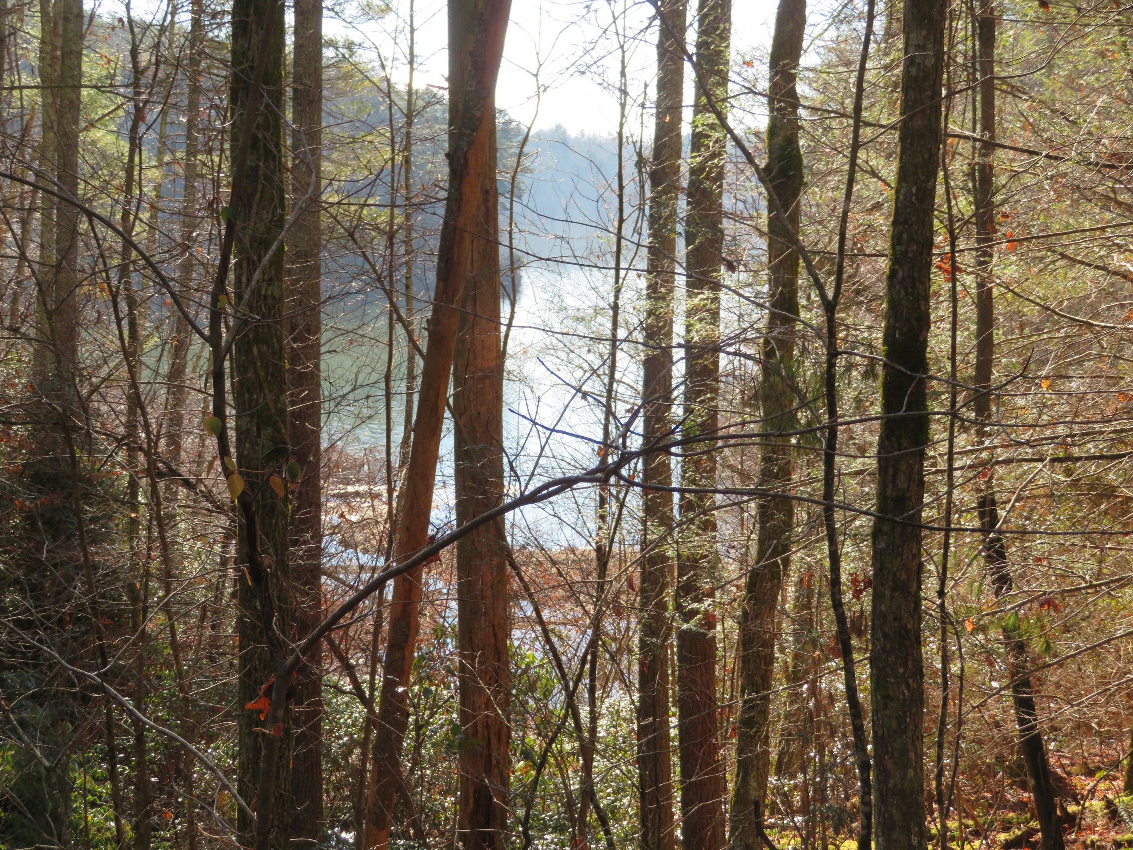 View of Turner Reservoir from a northeast section of the trail