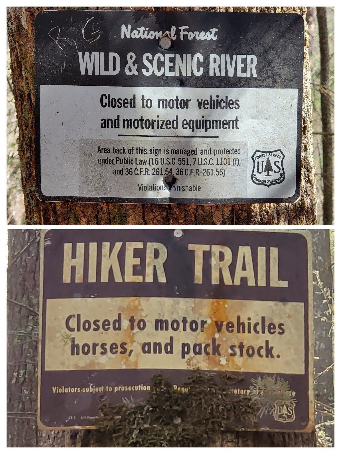 No pack stock seen on this hike!