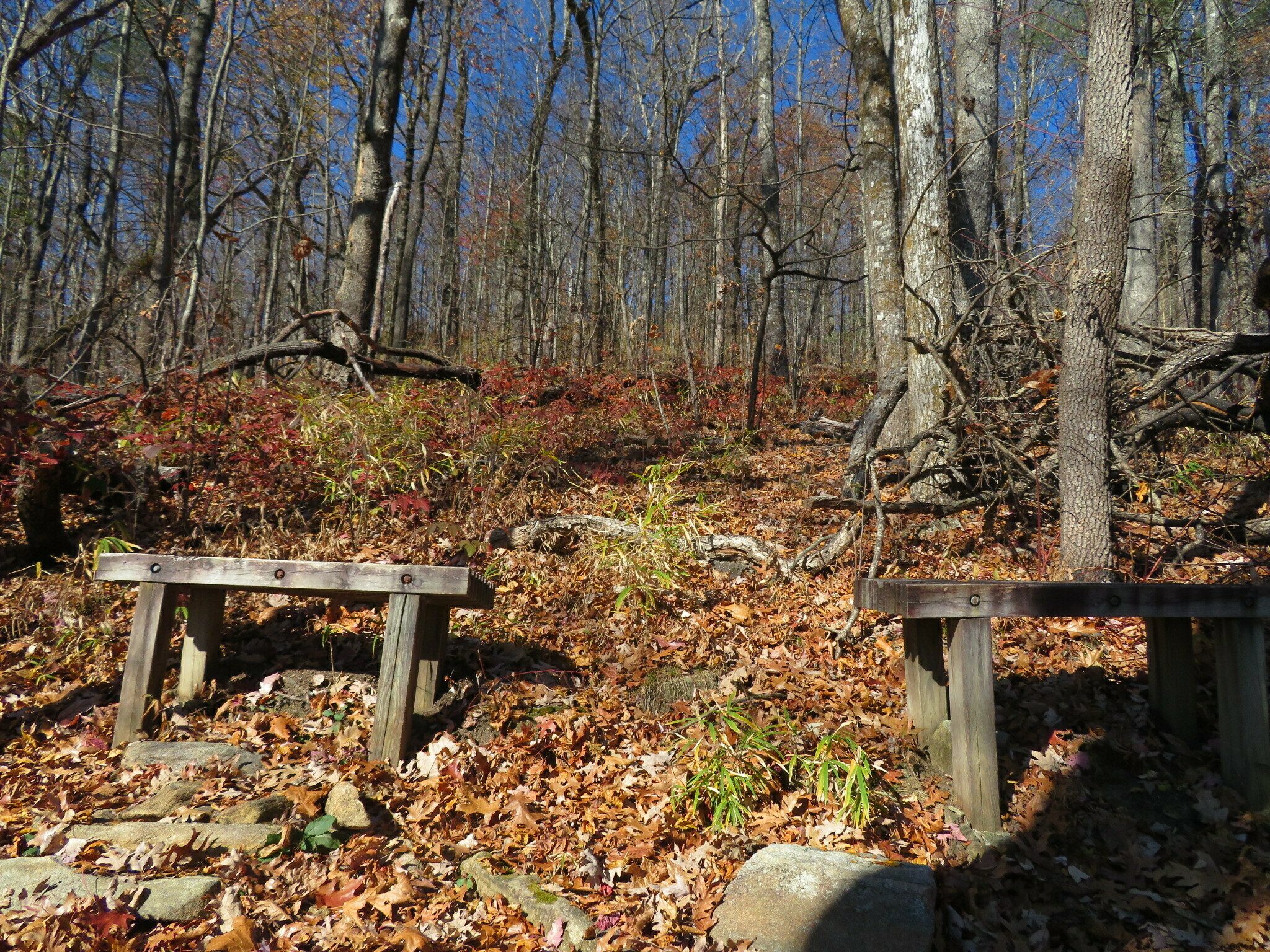 A couple of locations along the Foothills Trail section with benches.  This one looking up toward Grassy Knob.