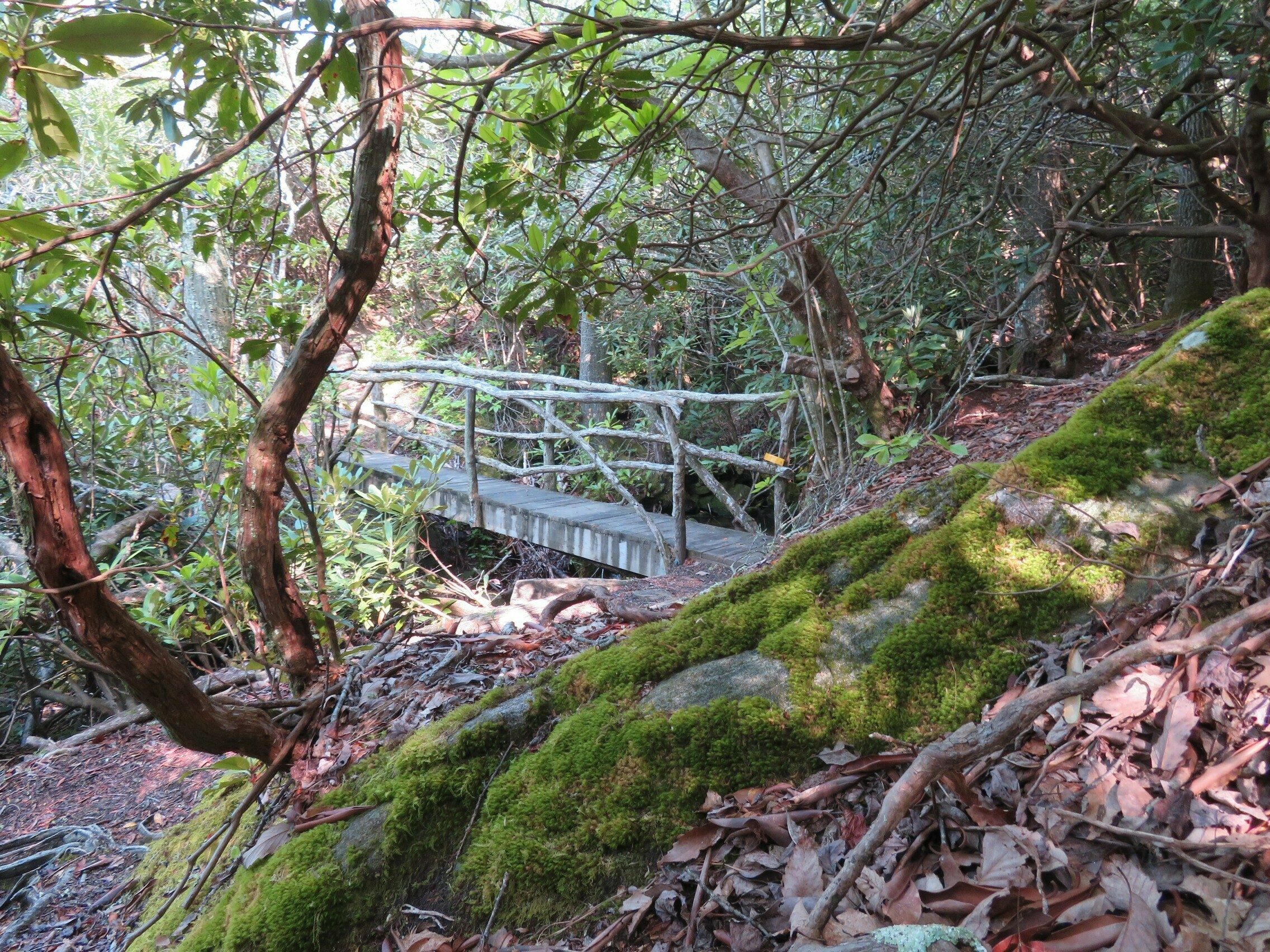 Nice bridge crossing stream feeding small falls