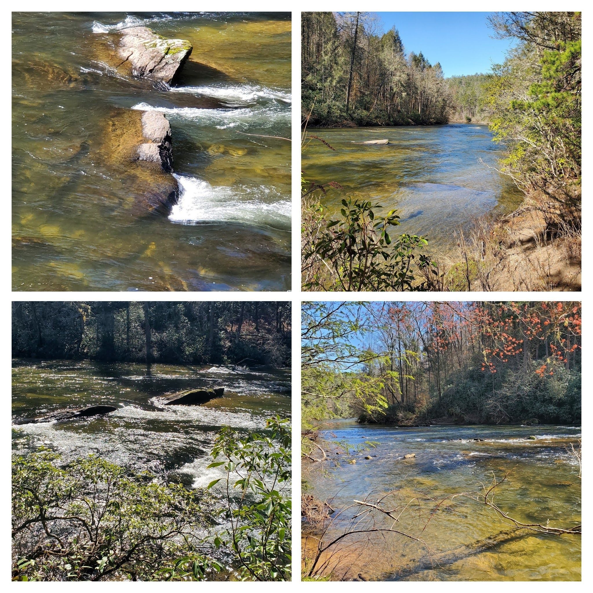 Chattooga River scenes.
