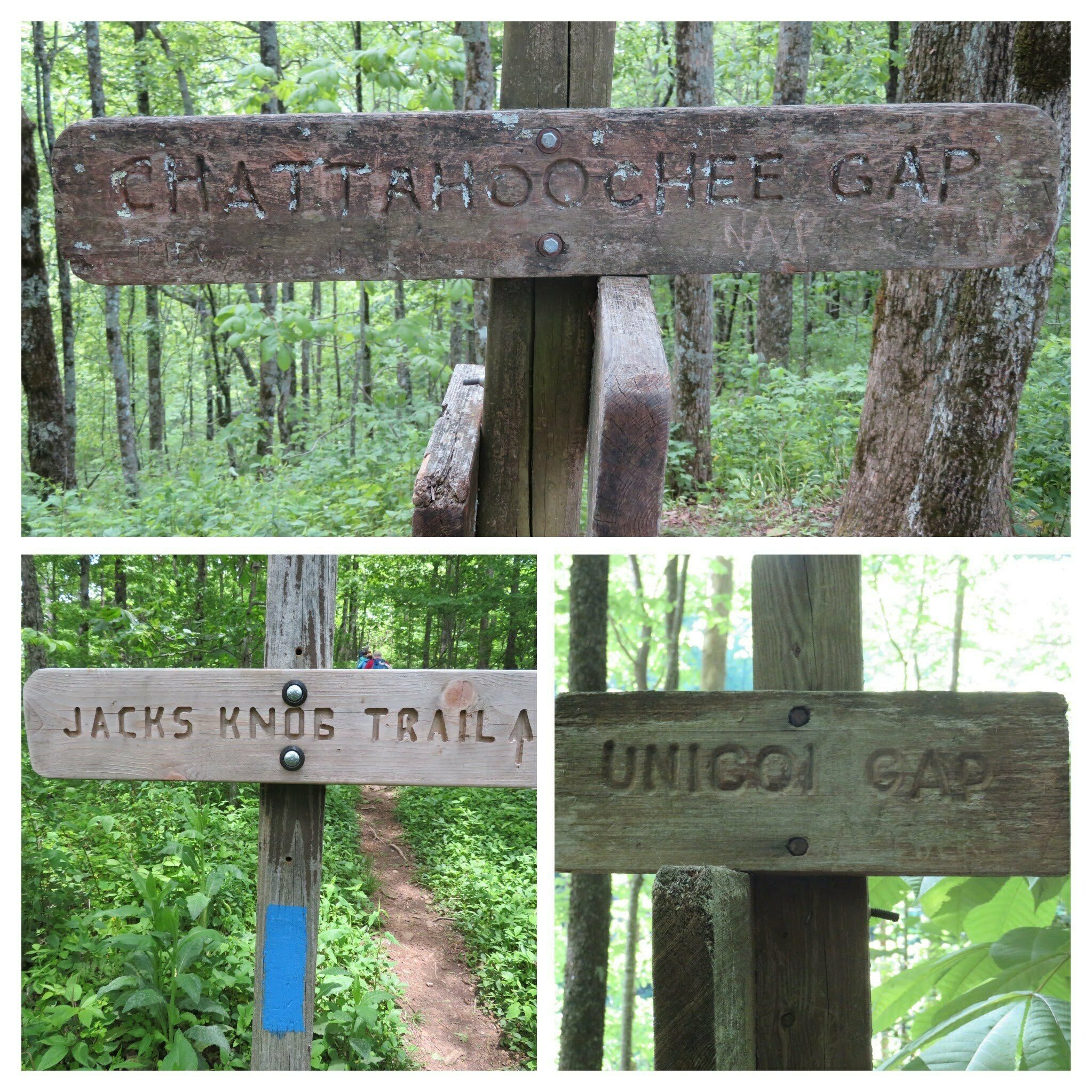Trails Markers from this hike