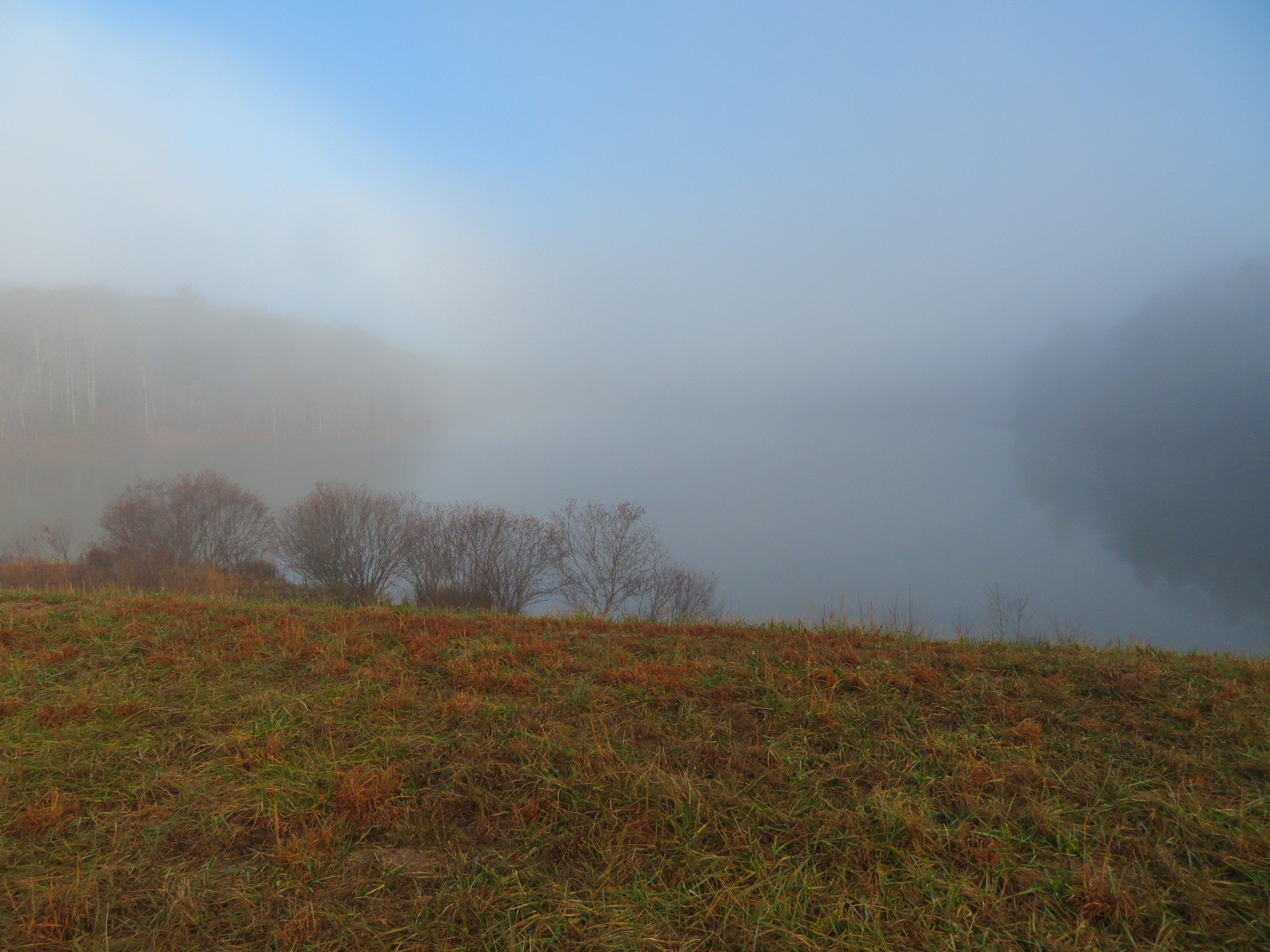 More fog!