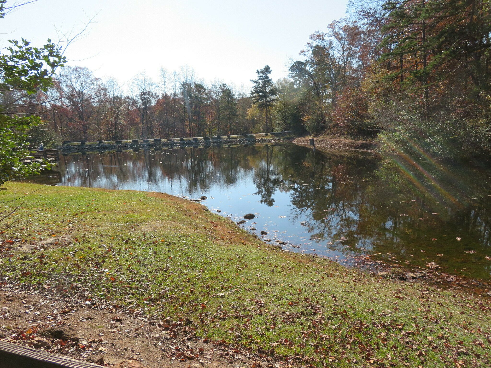 The first fish lake at the start of the Perimeter (Orange) Trail.