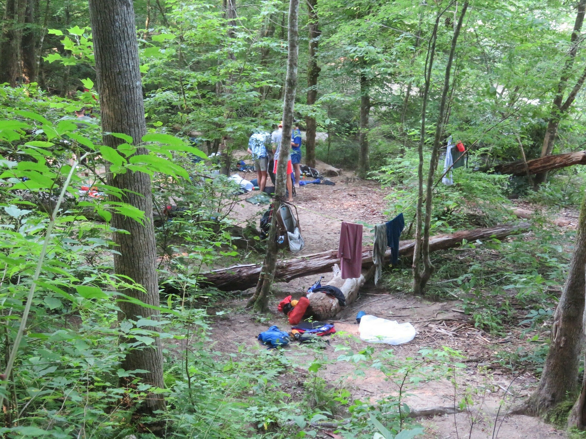 Campsite for a group of canoe campers at the Chattooga River.