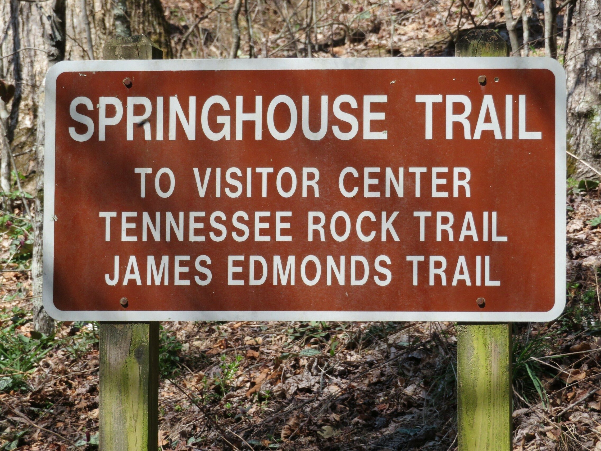 Trailhead starting point behind the Trading Post.