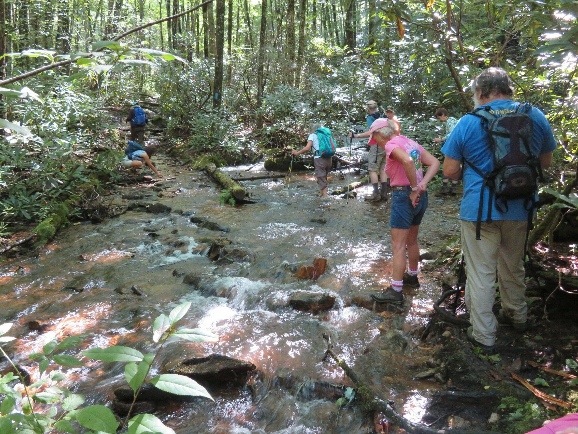 Water crossing near the end of the Long Branch Trail.  Beth trying find another large rock to splash us!
