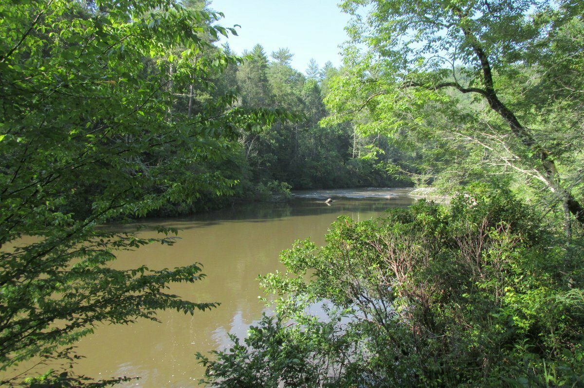 Chattooga River view