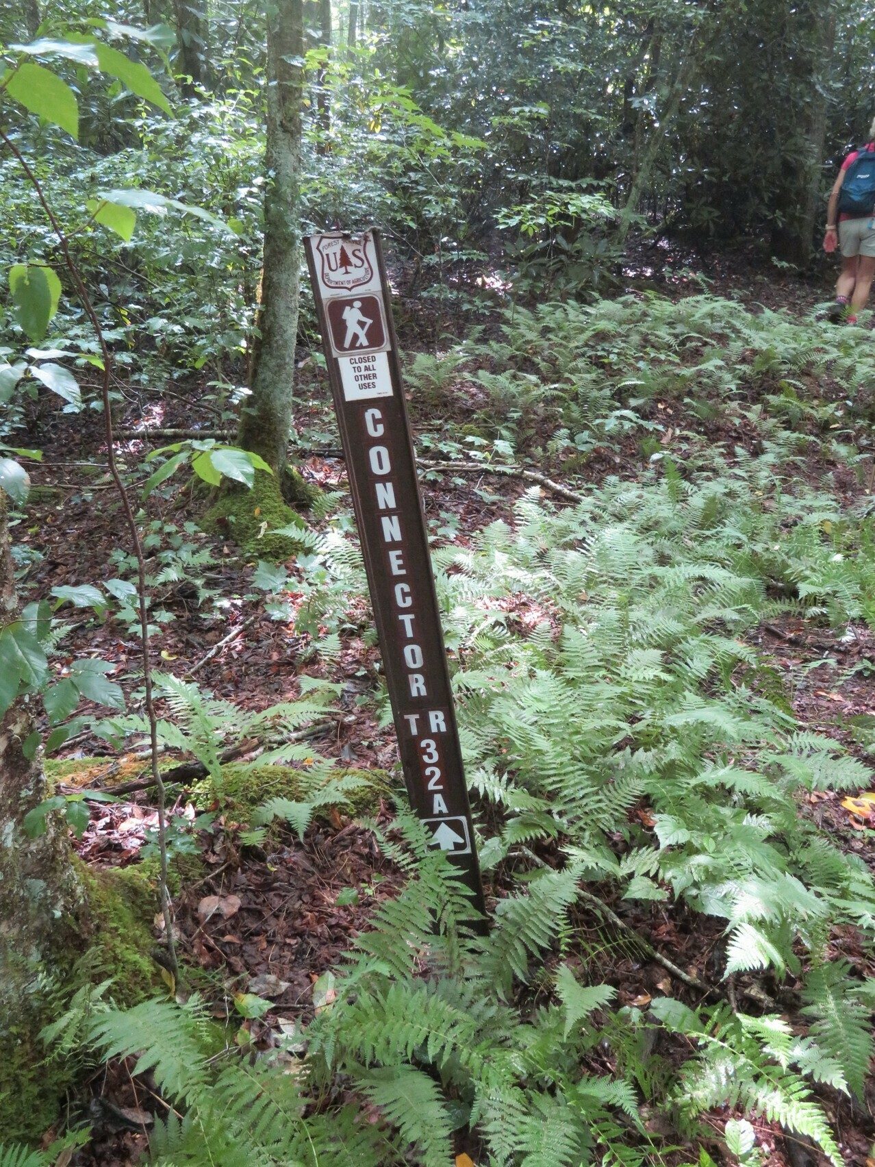 Don't miss turning left onto this connector trail between the Park Creek and Park Ridge Trails.  It is a bit of a climb though.