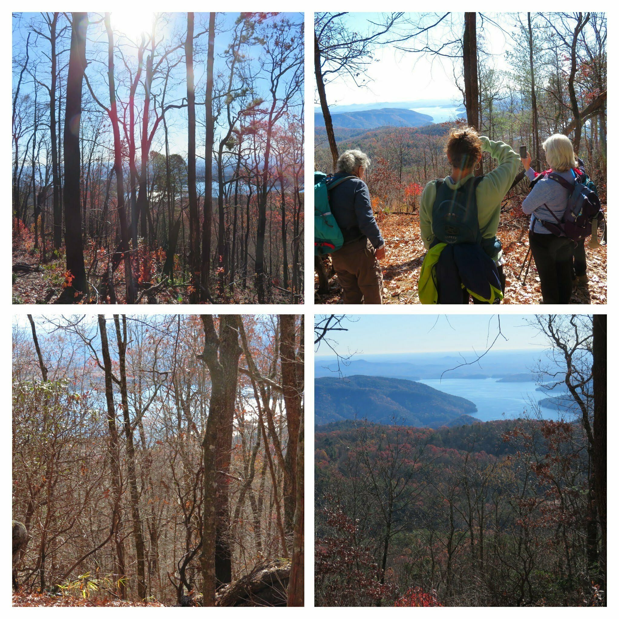 Many glimpses of the valley and lakes to the south.