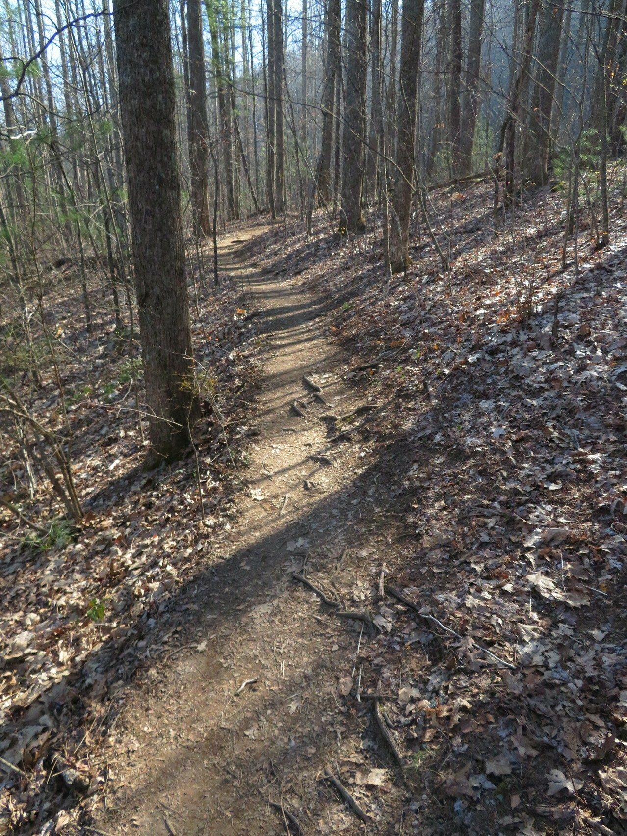Typical trail conditions