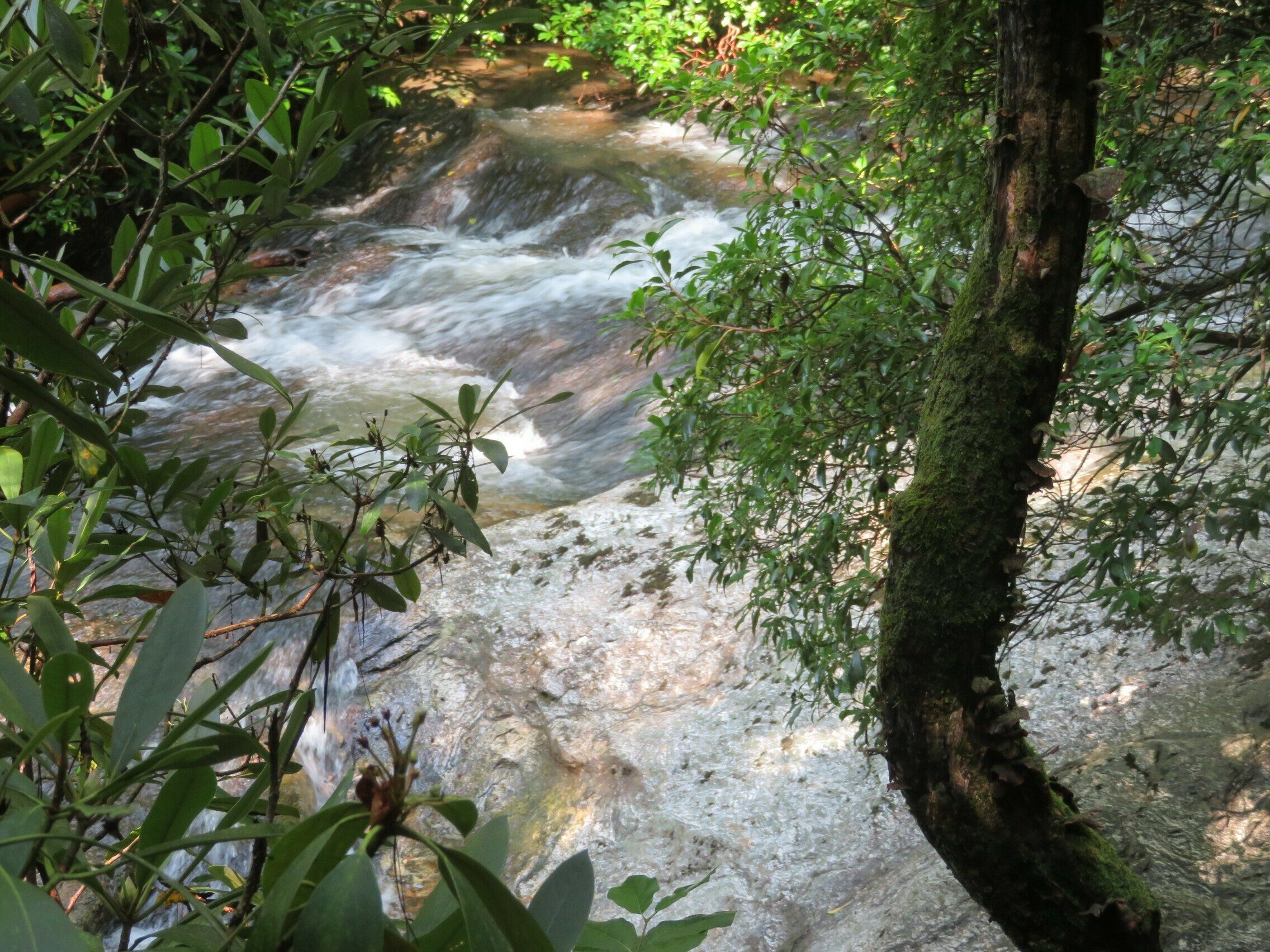 Cascade on Dicks Creek prior to falls.