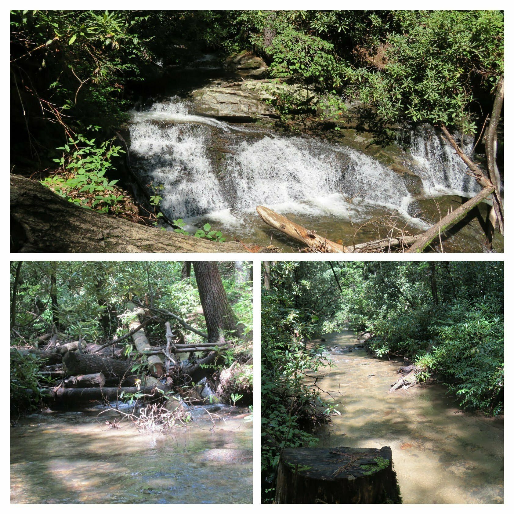 A few water features along the way.
