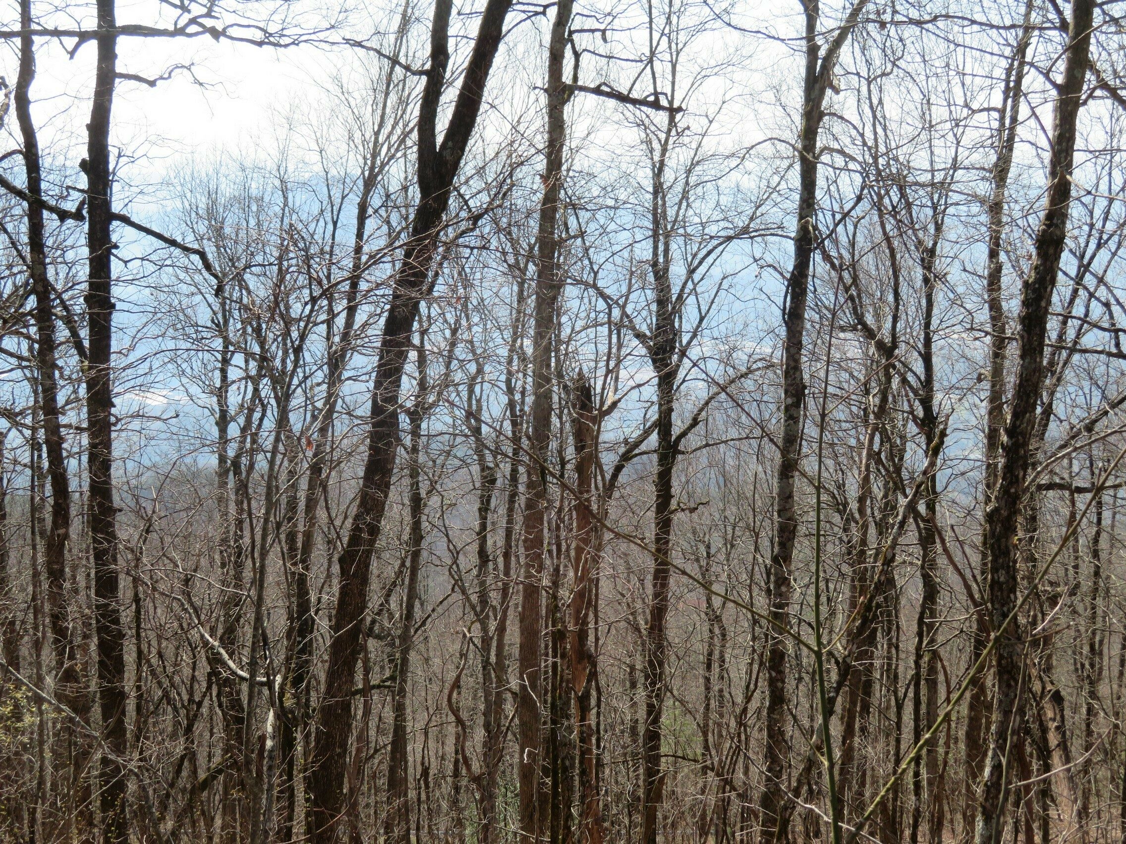 Smokey conditions on the south-side of Blackrock Mountain due to controlled burning.