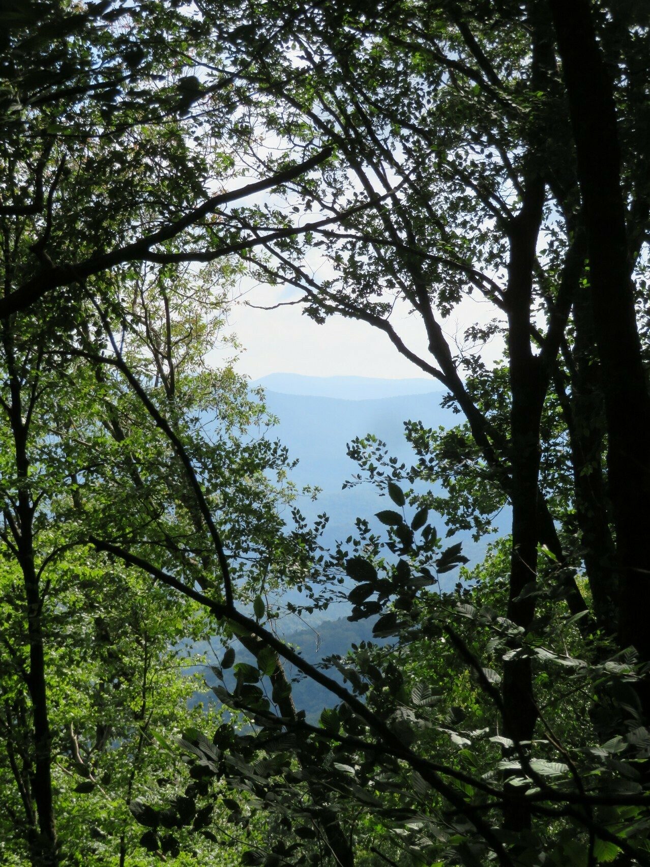 An occasional view of the surrounding mountians.