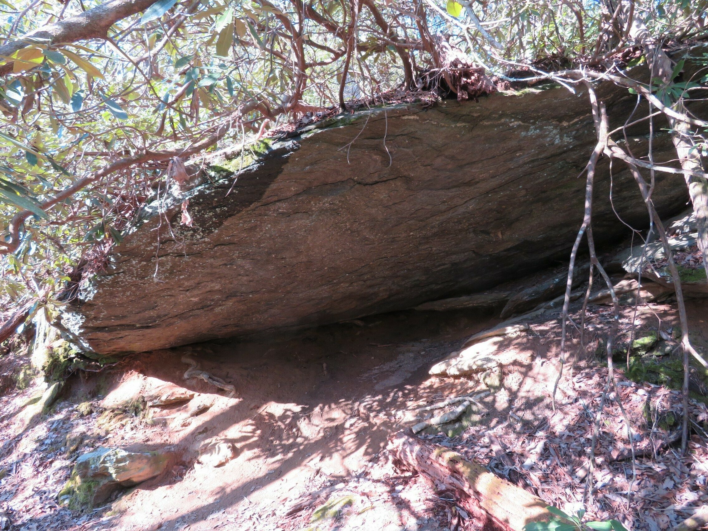 Lots of interesting rock formations on this hike.