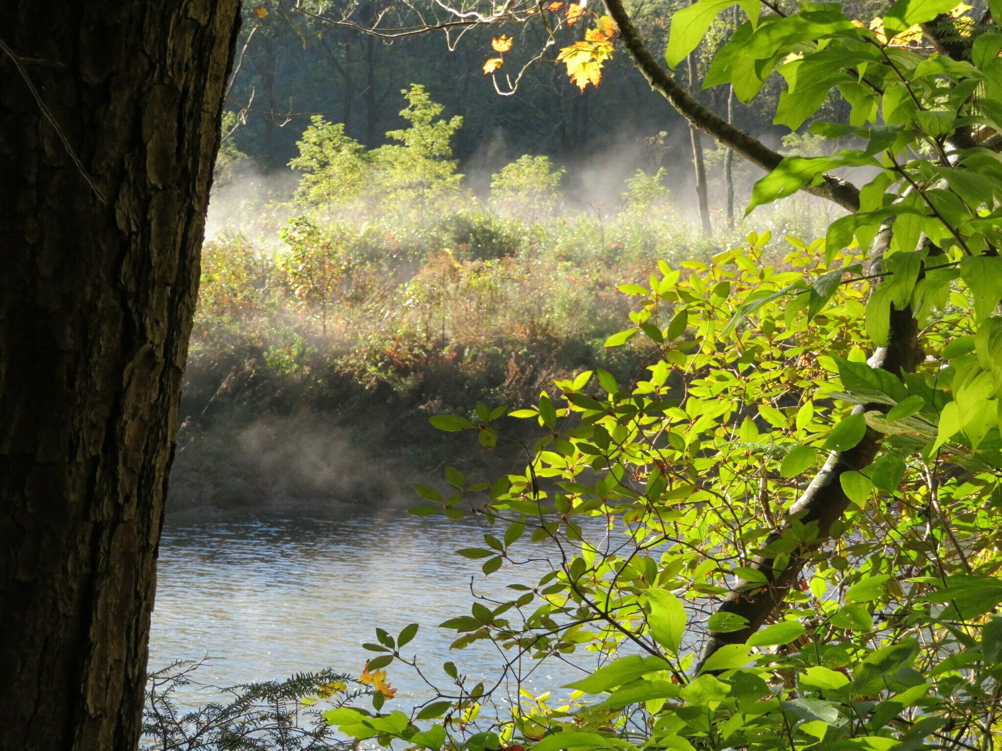 Just a touch of fog in one place along the trail.