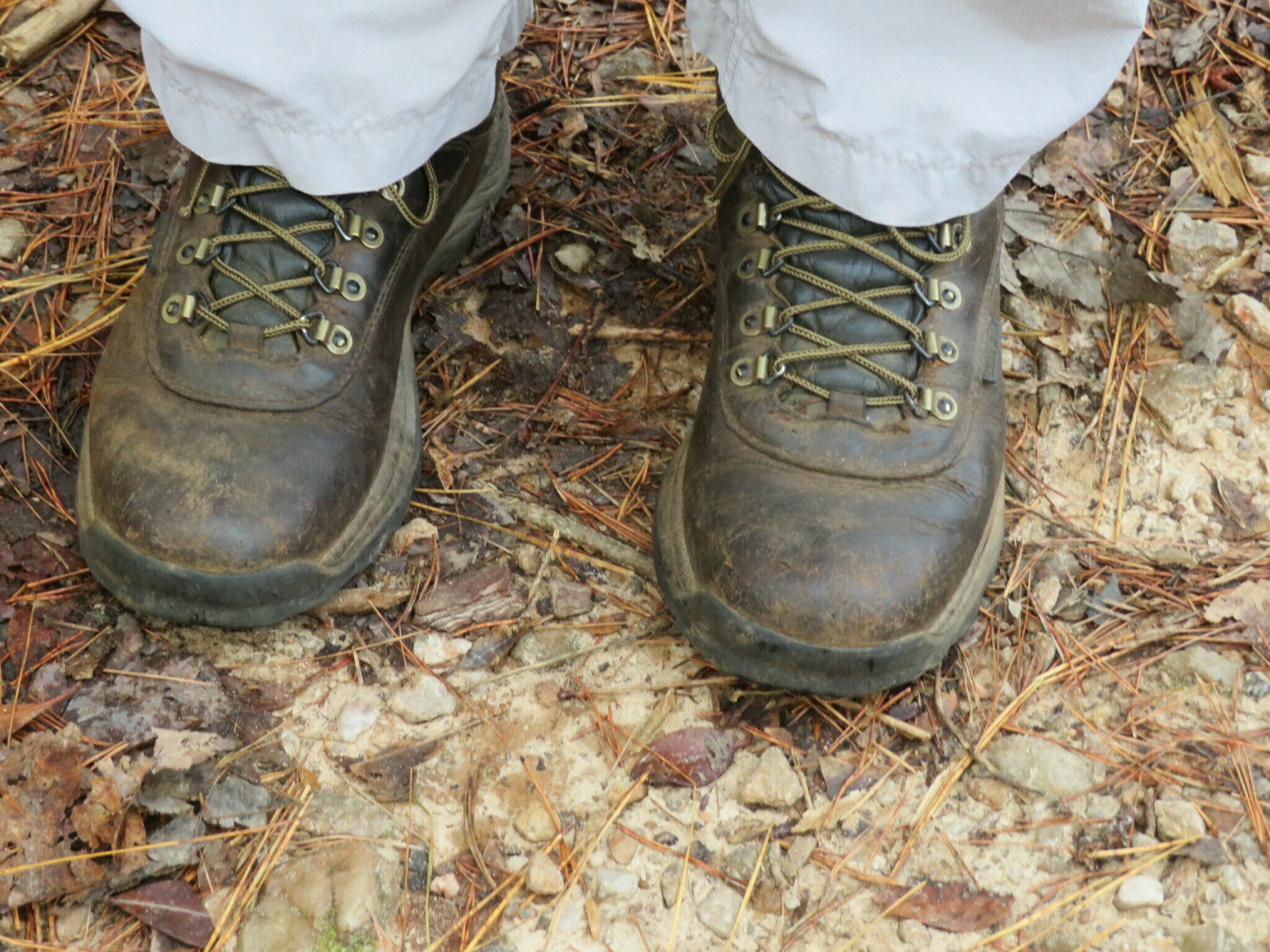 For those on the hike two weeks ago, Dick's new shoe laces are a big deal.  Them shoes, them shoes, them dry shoes."