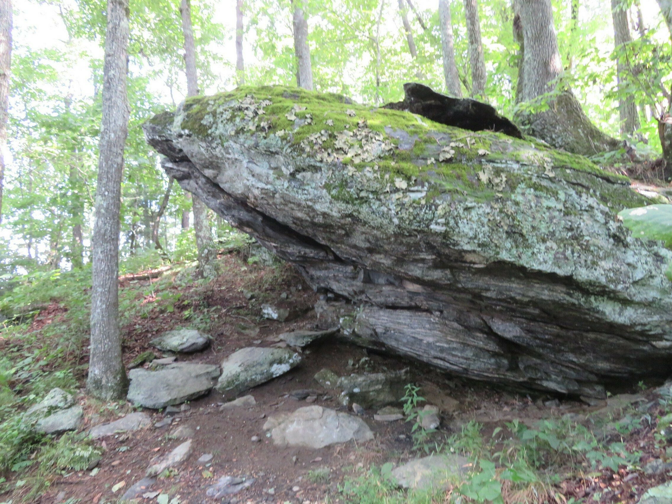 Not a lot of wildflowers today, so here's an interesting rock . . . I guess?