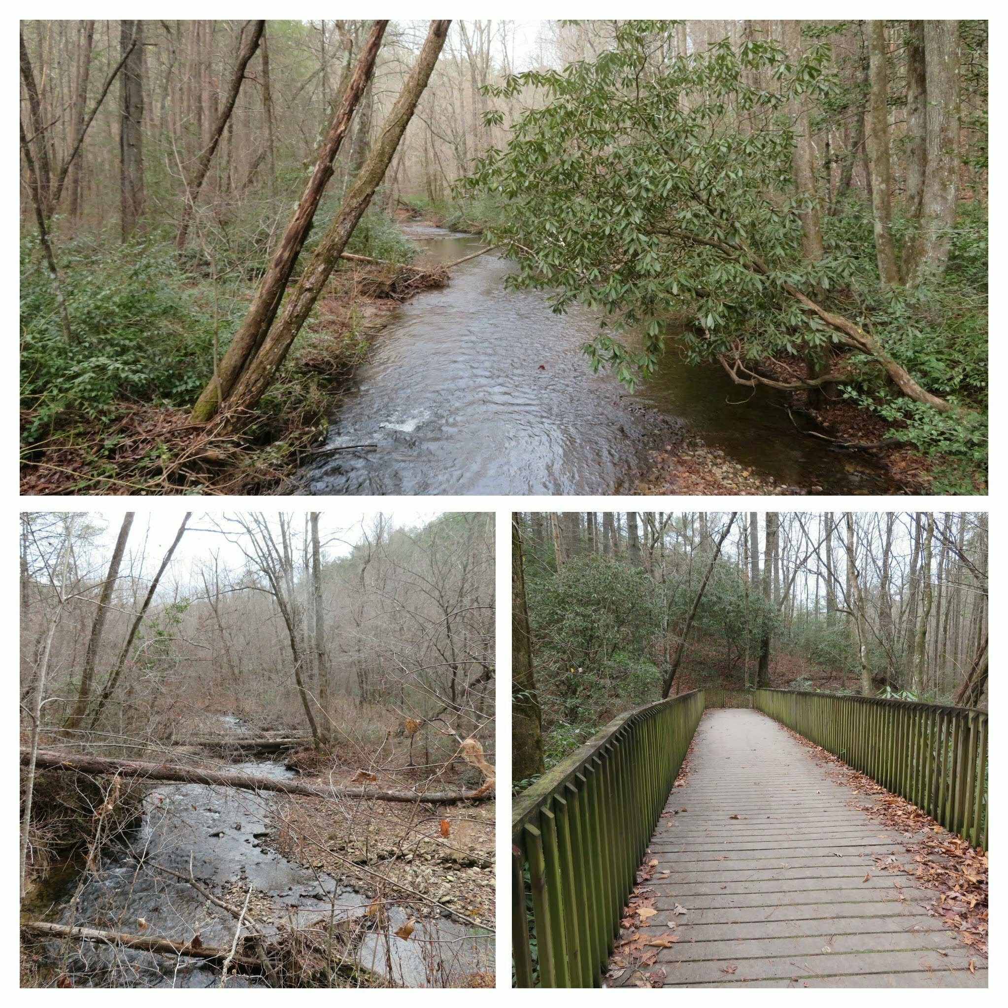 Smith Creek provided at least some views and pleasant sounds.