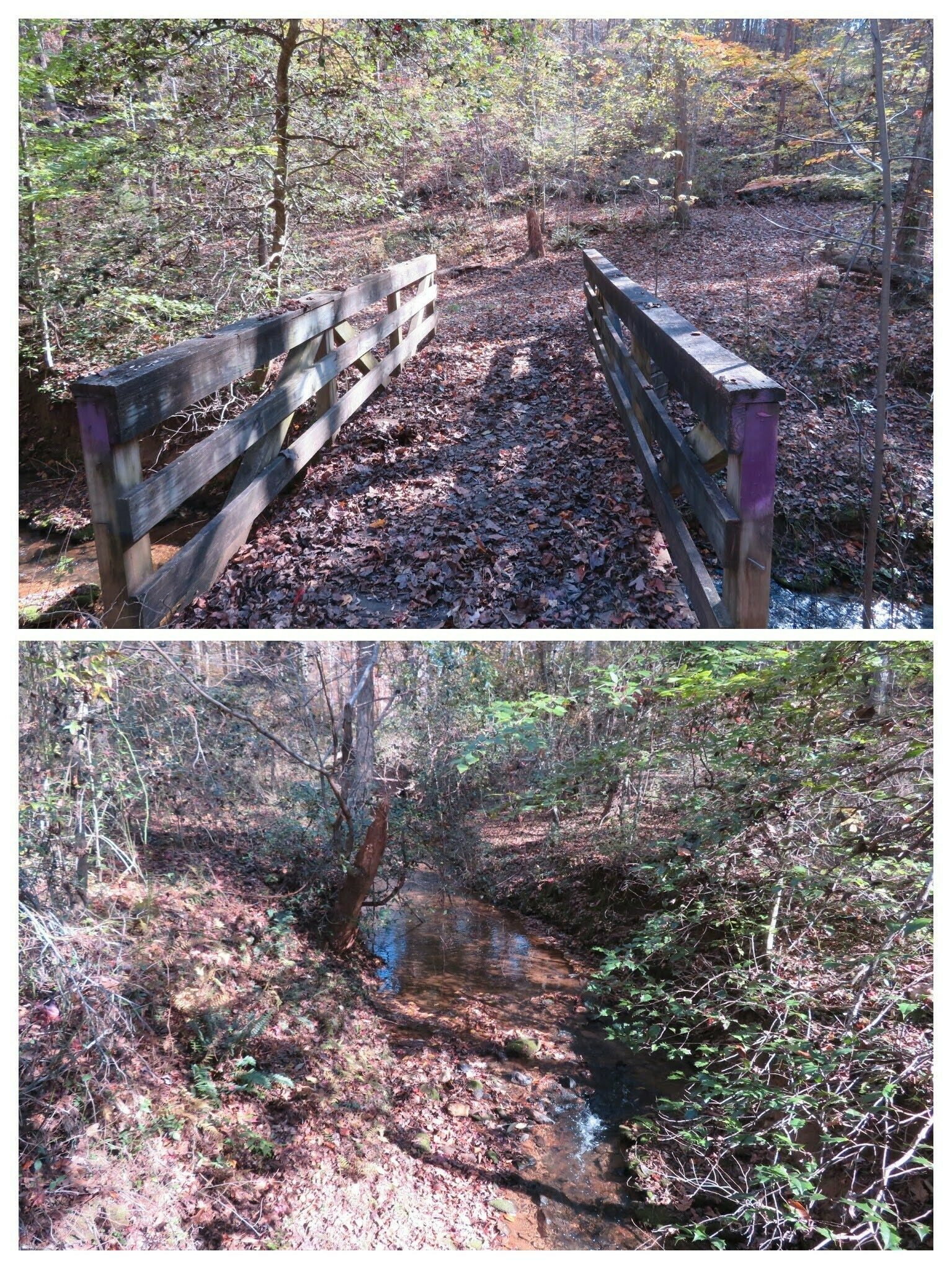Quite a few small creeks along the way, all with nice bridges.