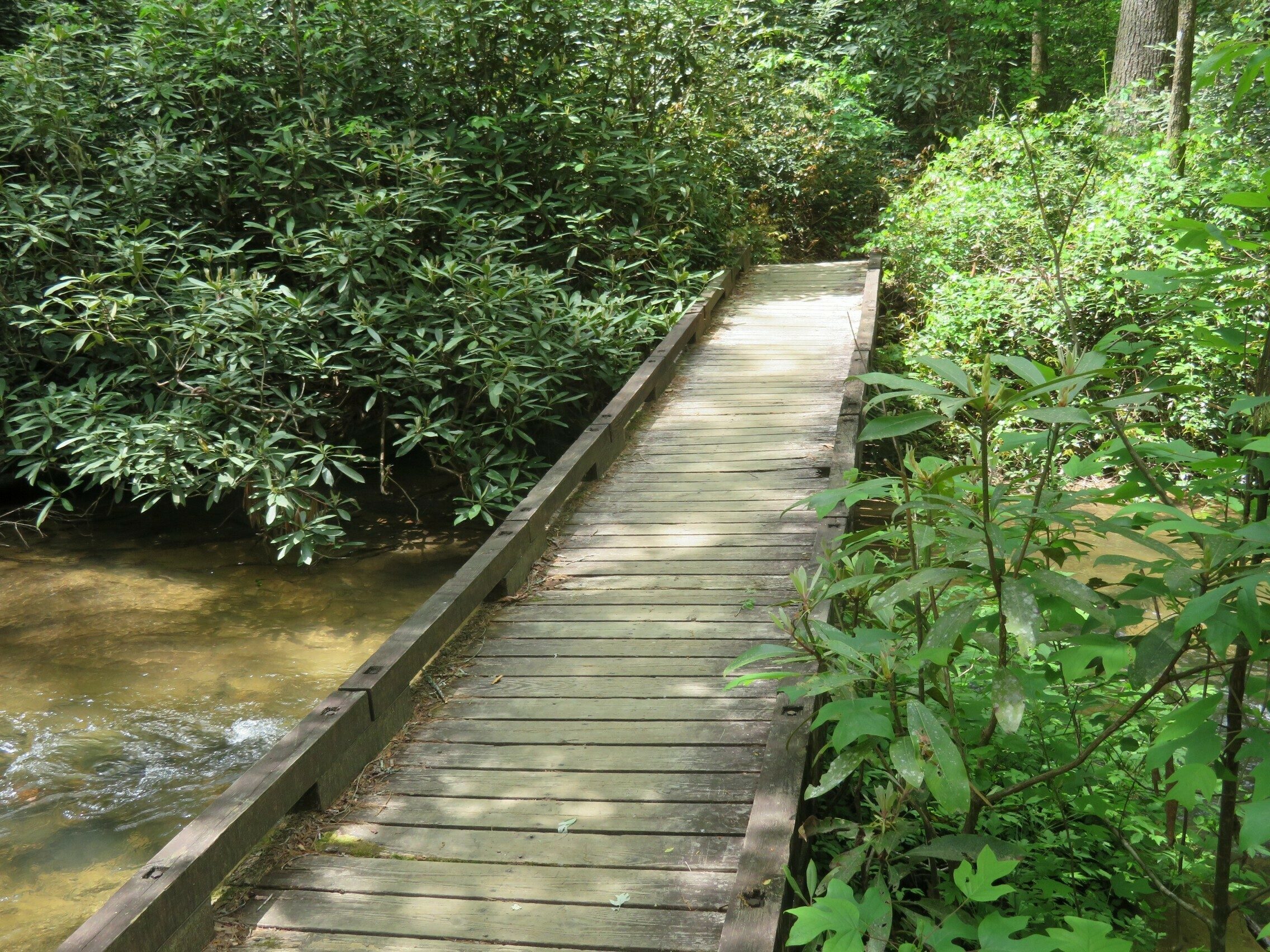 Bridge leading to Pigpen Falls