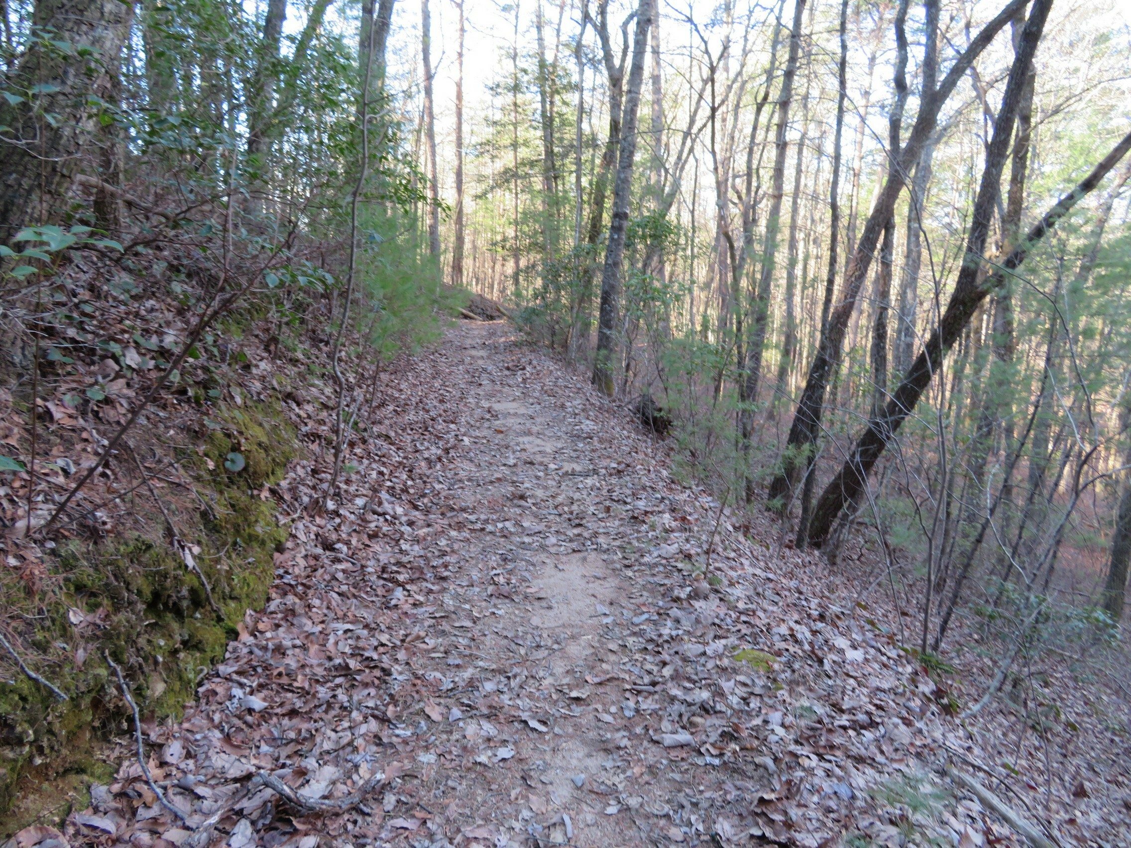 Typical trail conditions