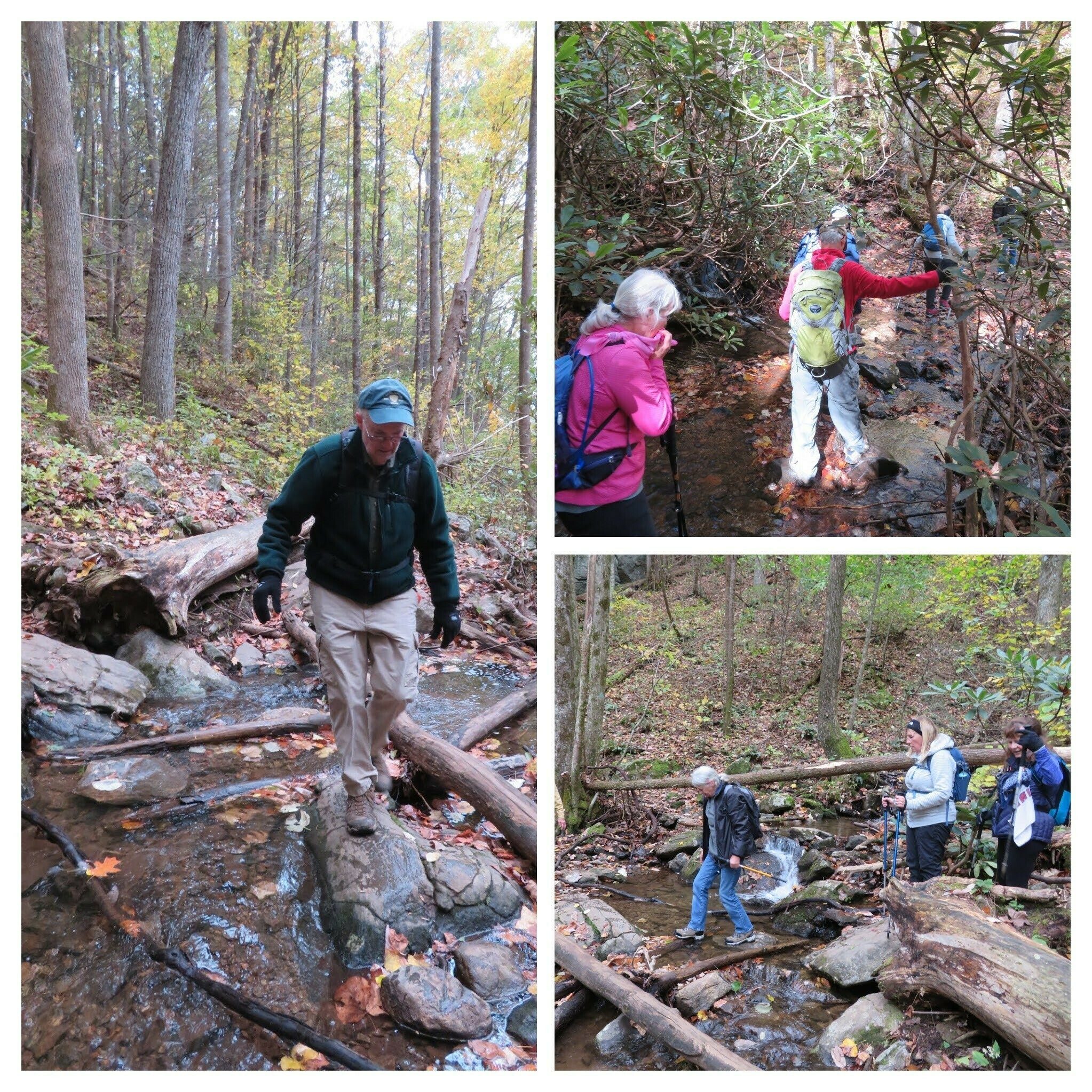 Plenty of rock-hopping water crossings on this hike!