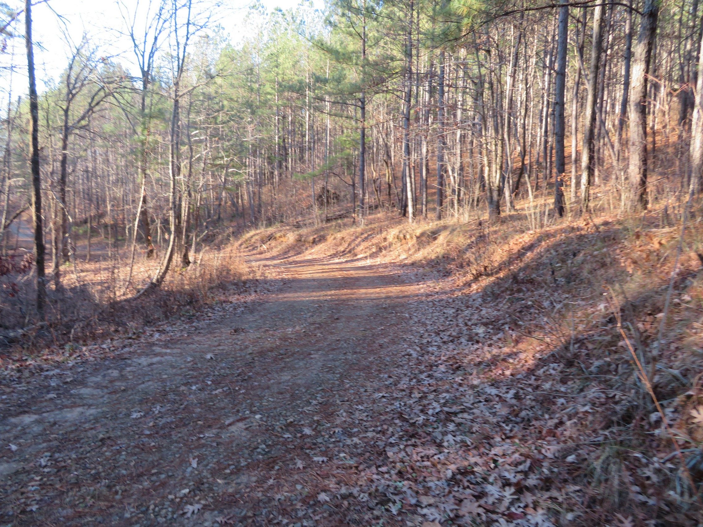 Lathan Road/Trail enroute to Latham Cemetery