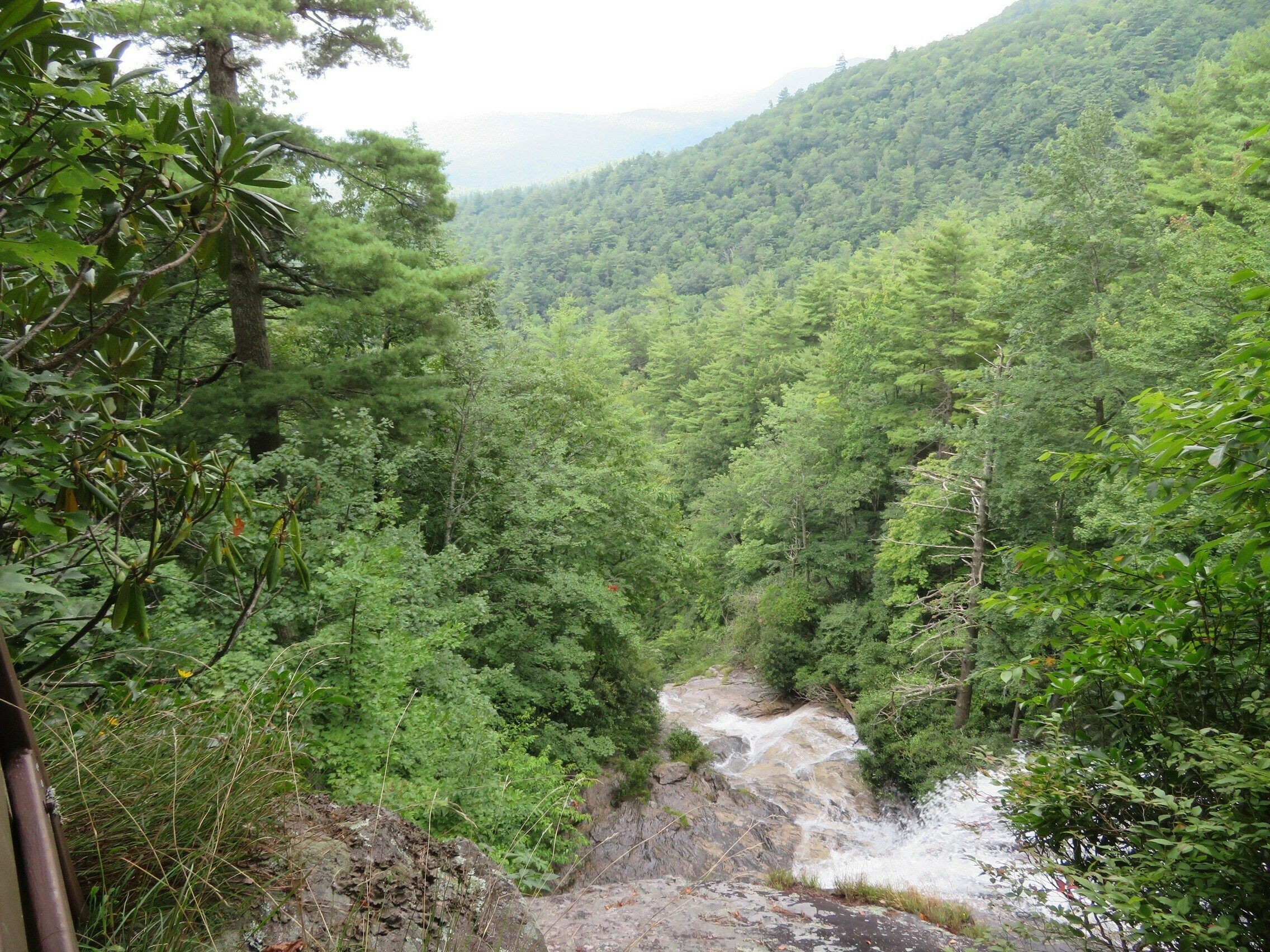 A view of the valley from the top of the 1st falls.