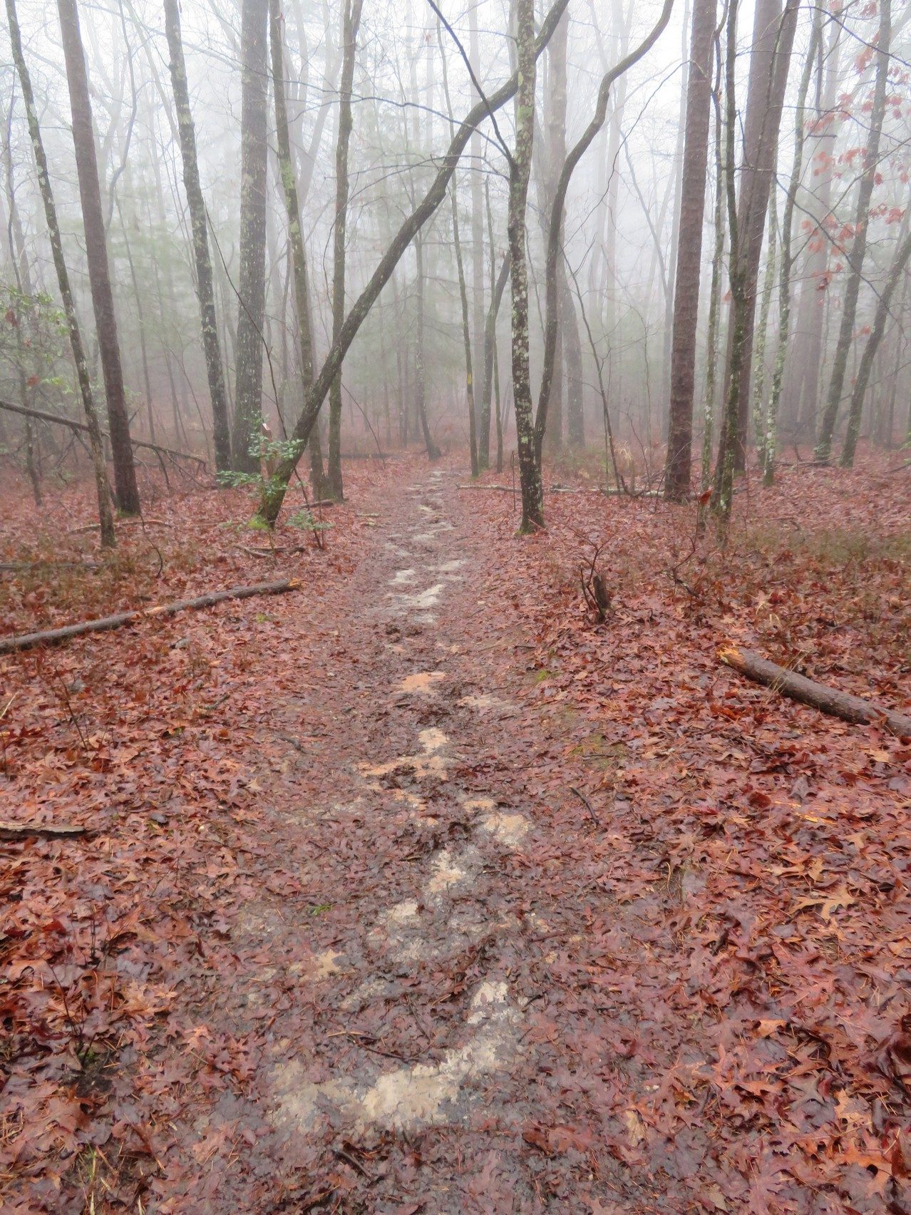 Typical trail conditions