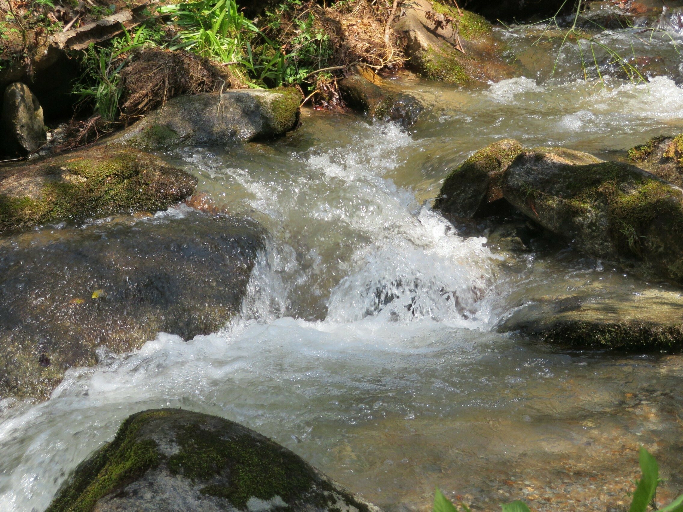 Another nice water feature along the trail.