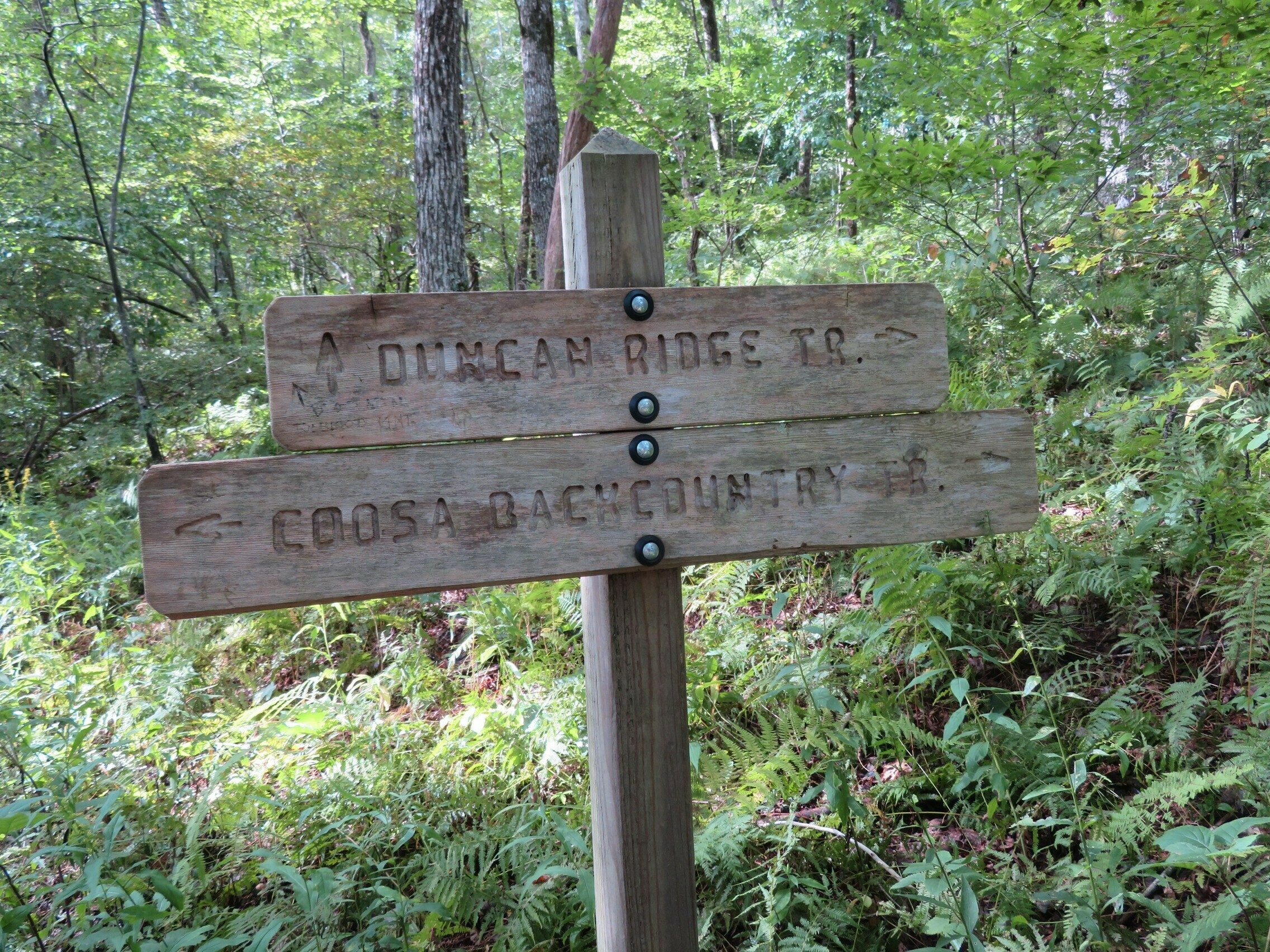 A well marked trail intersection.