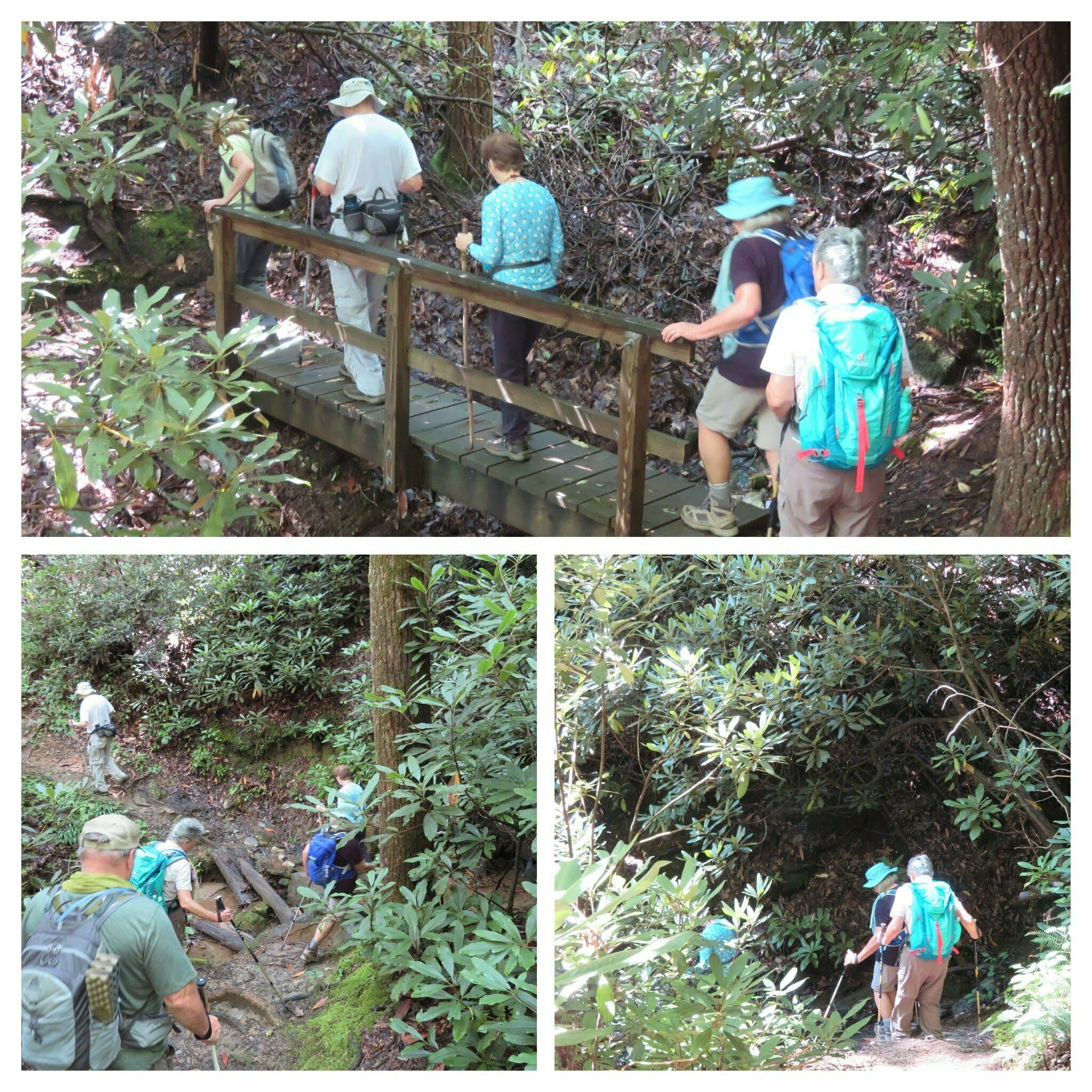 A few water crossings today