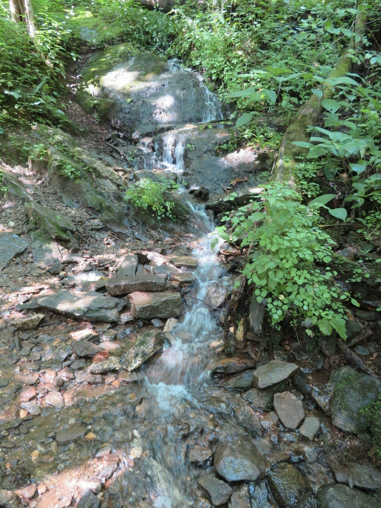 Cascade along the AT out of Woody Gap