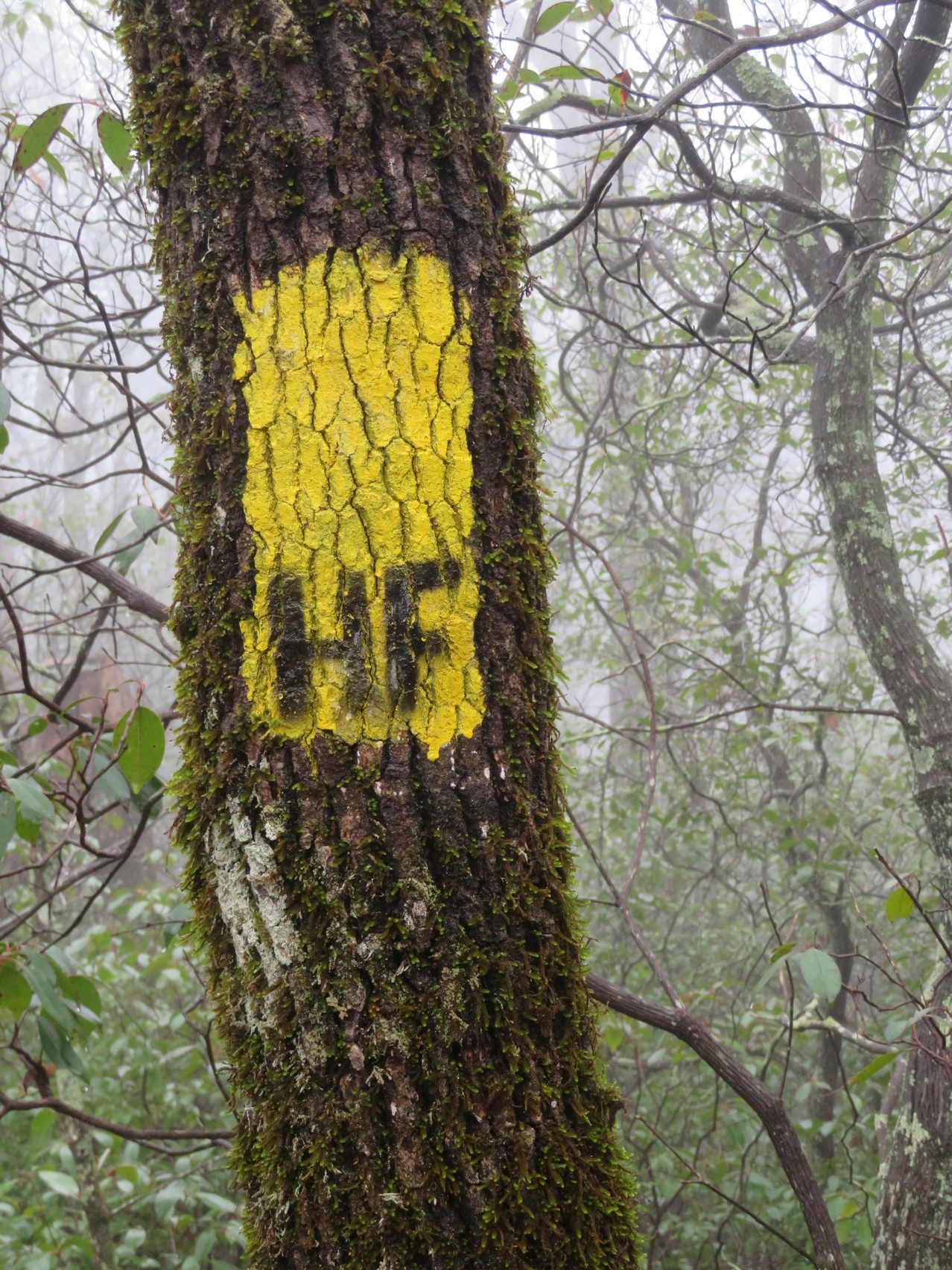 Typical trail blaze