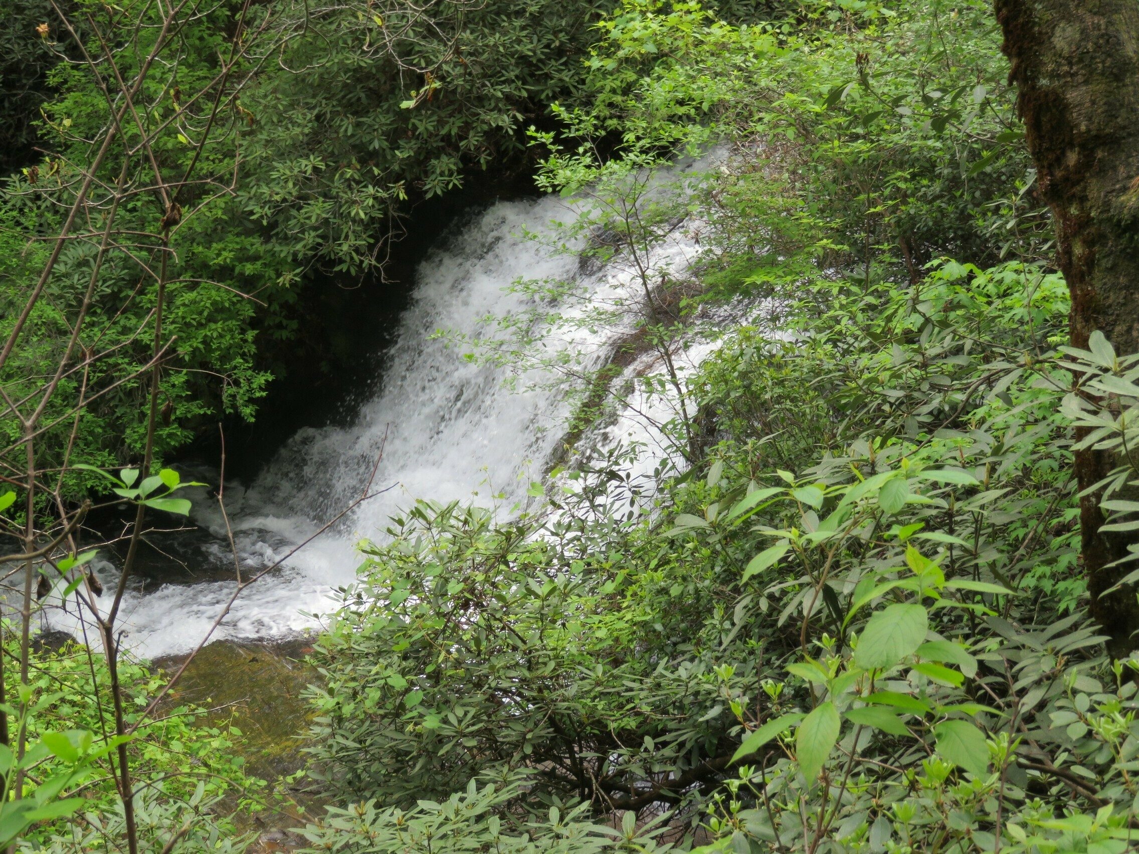 Licklog Falls