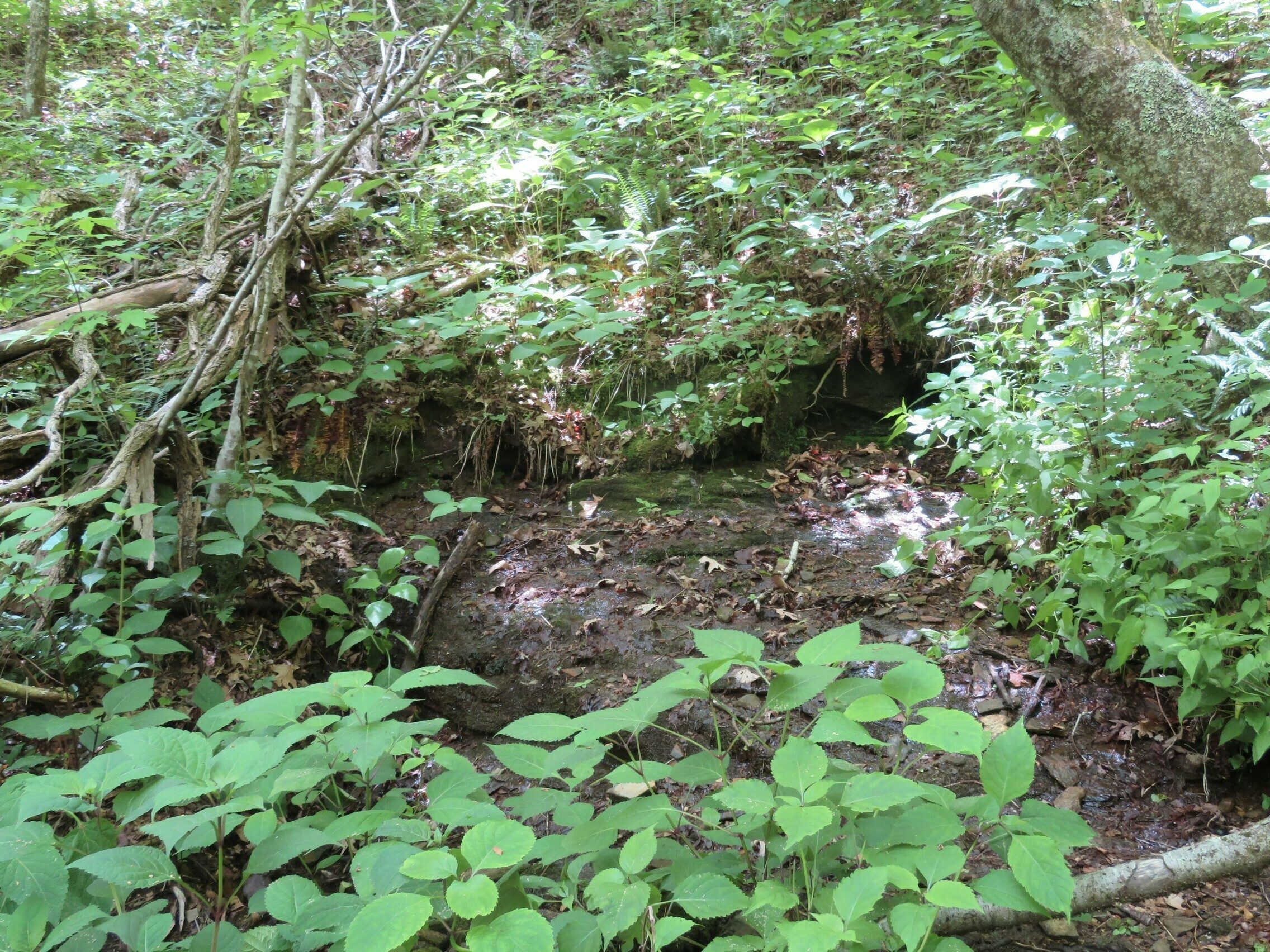 Chattahoochee Headwaters - Yep, this is where it starts!