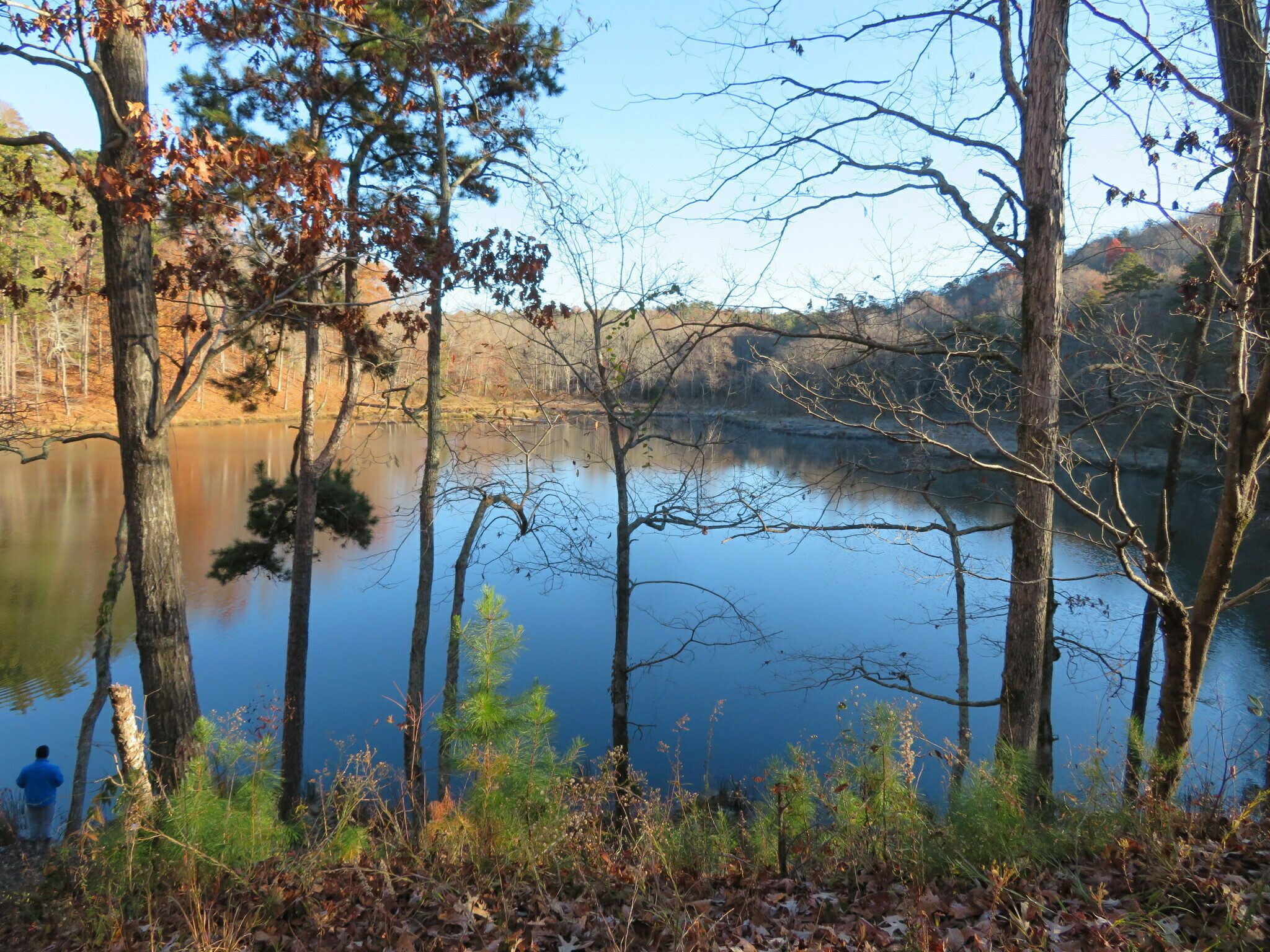 A nice view of Nancy Town Lake.