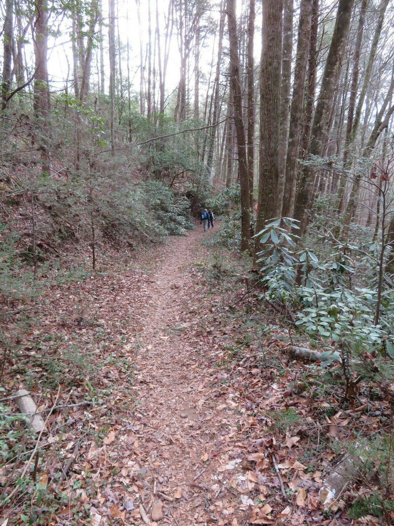 Typical trail conditions