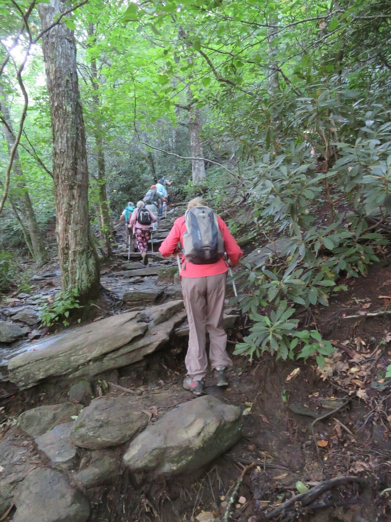 Trail on the way up